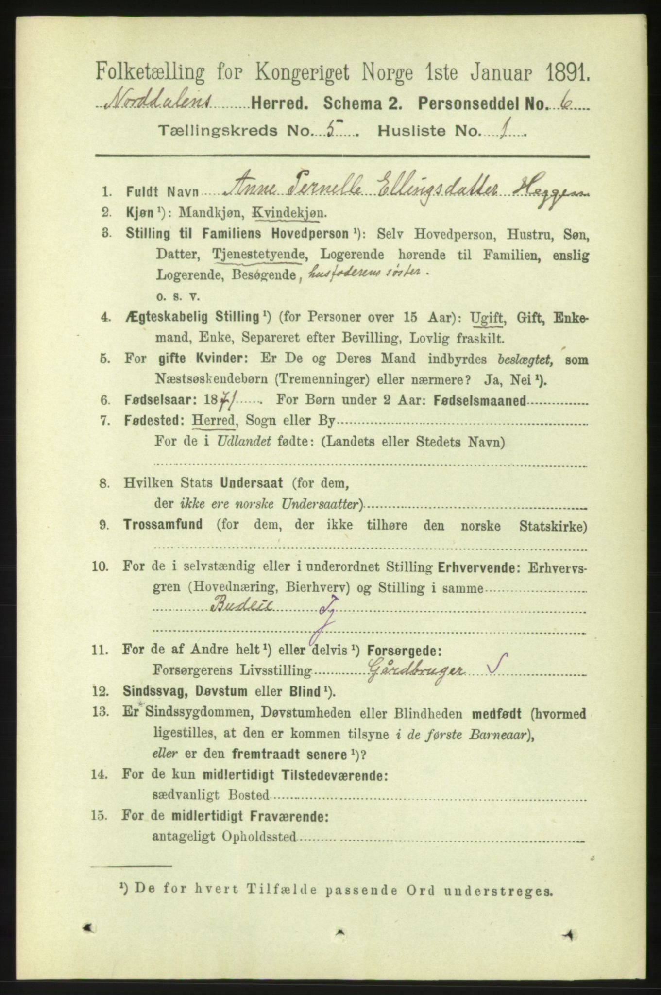 RA, 1891 census for 1524 Norddal, 1891, p. 1000