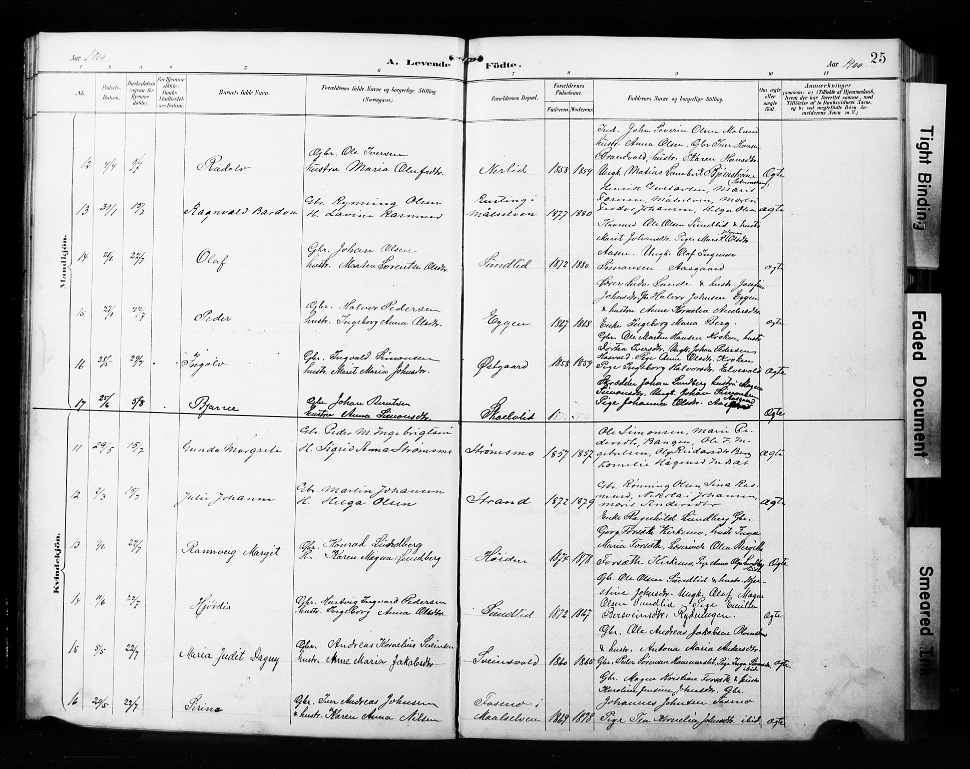 Målselv sokneprestembete, AV/SATØ-S-1311/G/Ga/Gab/L0008klokker: Parish register (copy) no. 8, 1895-1913, p. 25