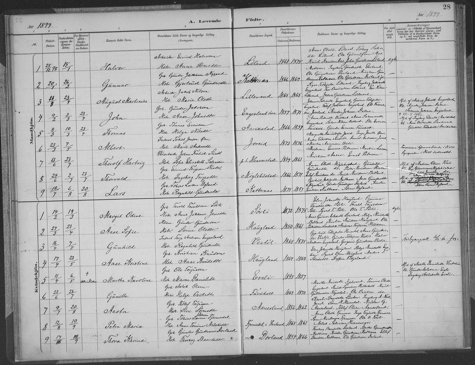 Herefoss sokneprestkontor, SAK/1111-0019/F/Fa/Fab/L0004: Parish register (official) no. A 4, 1887-1909, p. 28