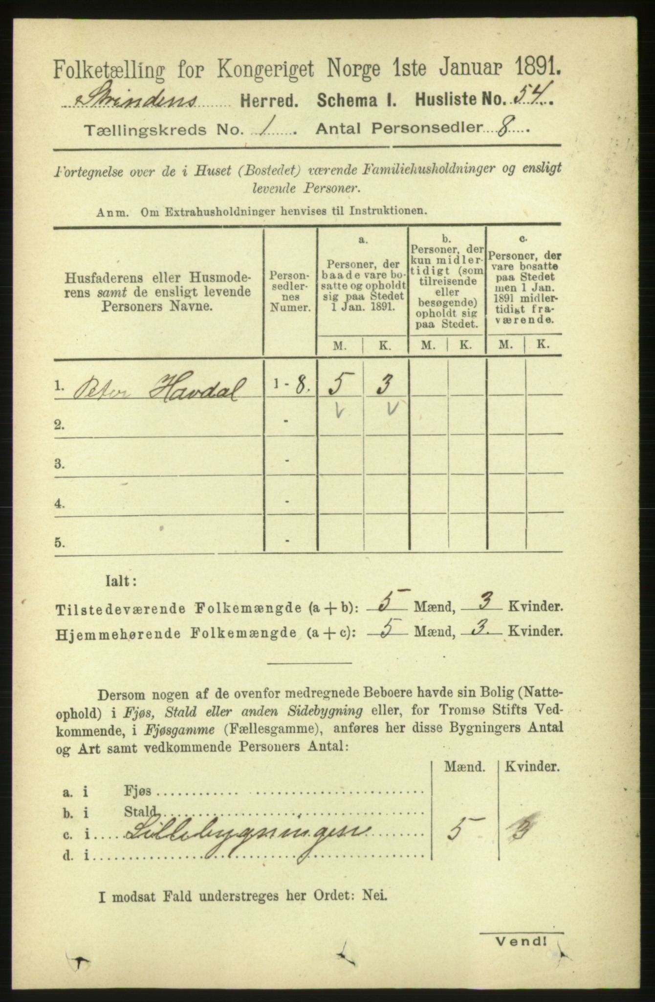 RA, 1891 census for 1660 Strinda, 1891, p. 100