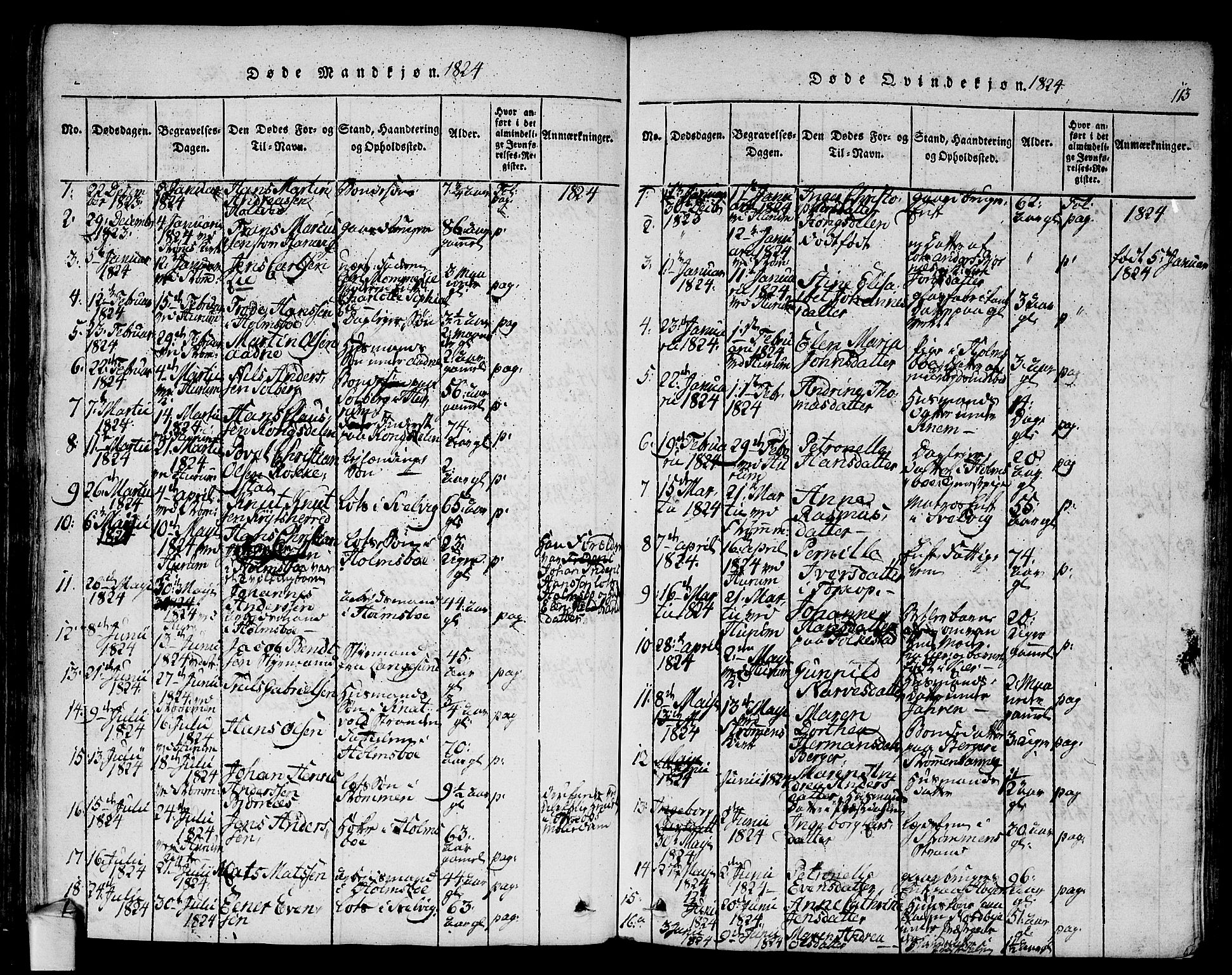 Hurum kirkebøker, SAKO/A-229/F/Fa/L0009: Parish register (official) no. 9, 1816-1826, p. 113