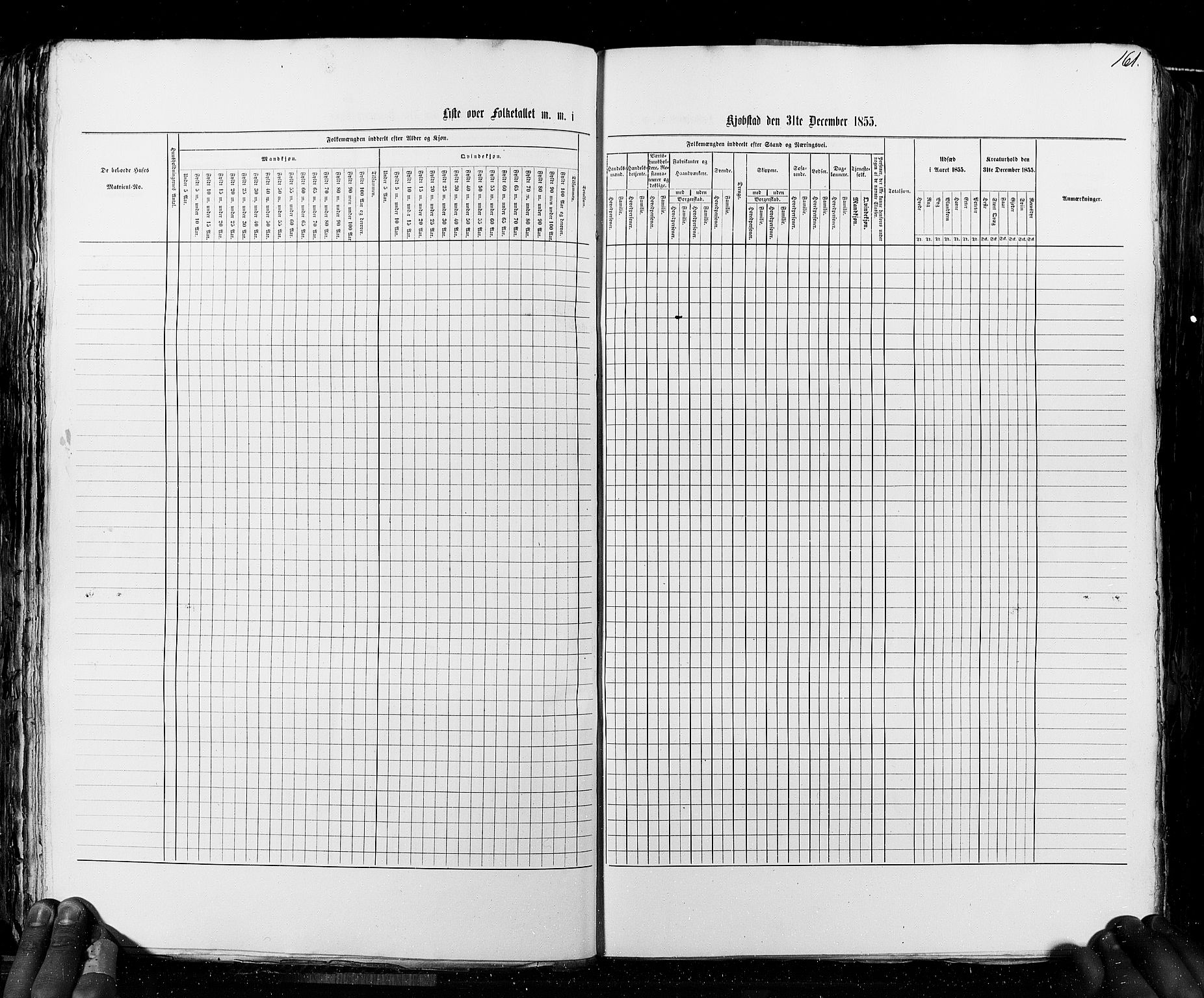 RA, Census 1855, vol. 8: Risør-Vadsø, 1855, p. 161