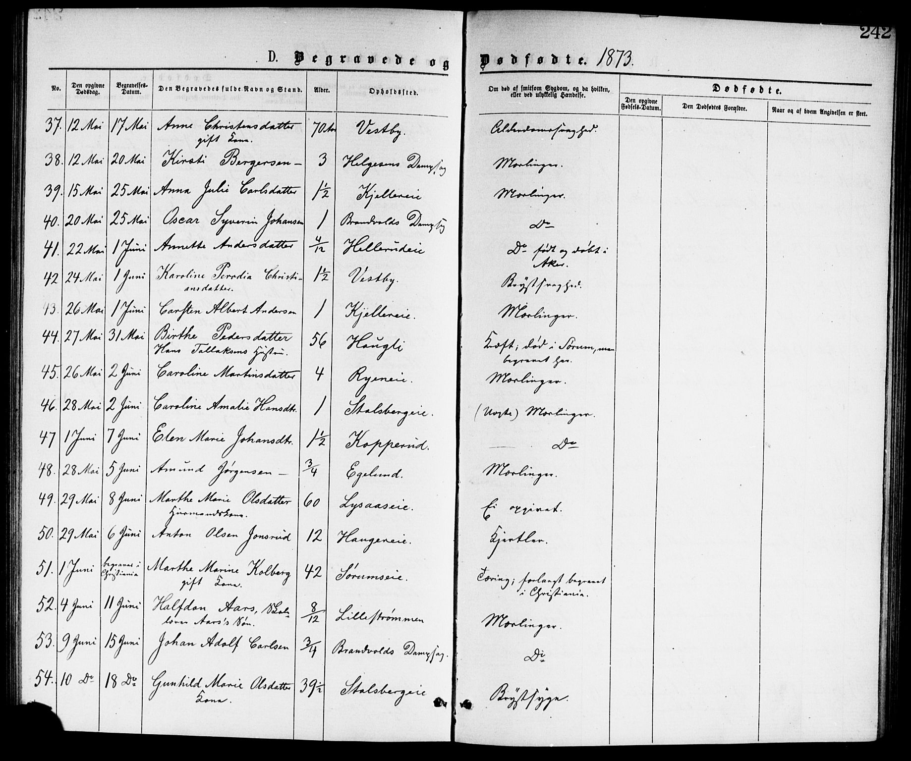 Skedsmo prestekontor Kirkebøker, AV/SAO-A-10033a/G/Ga/L0003: Parish register (copy) no. I 3, 1873-1882, p. 242