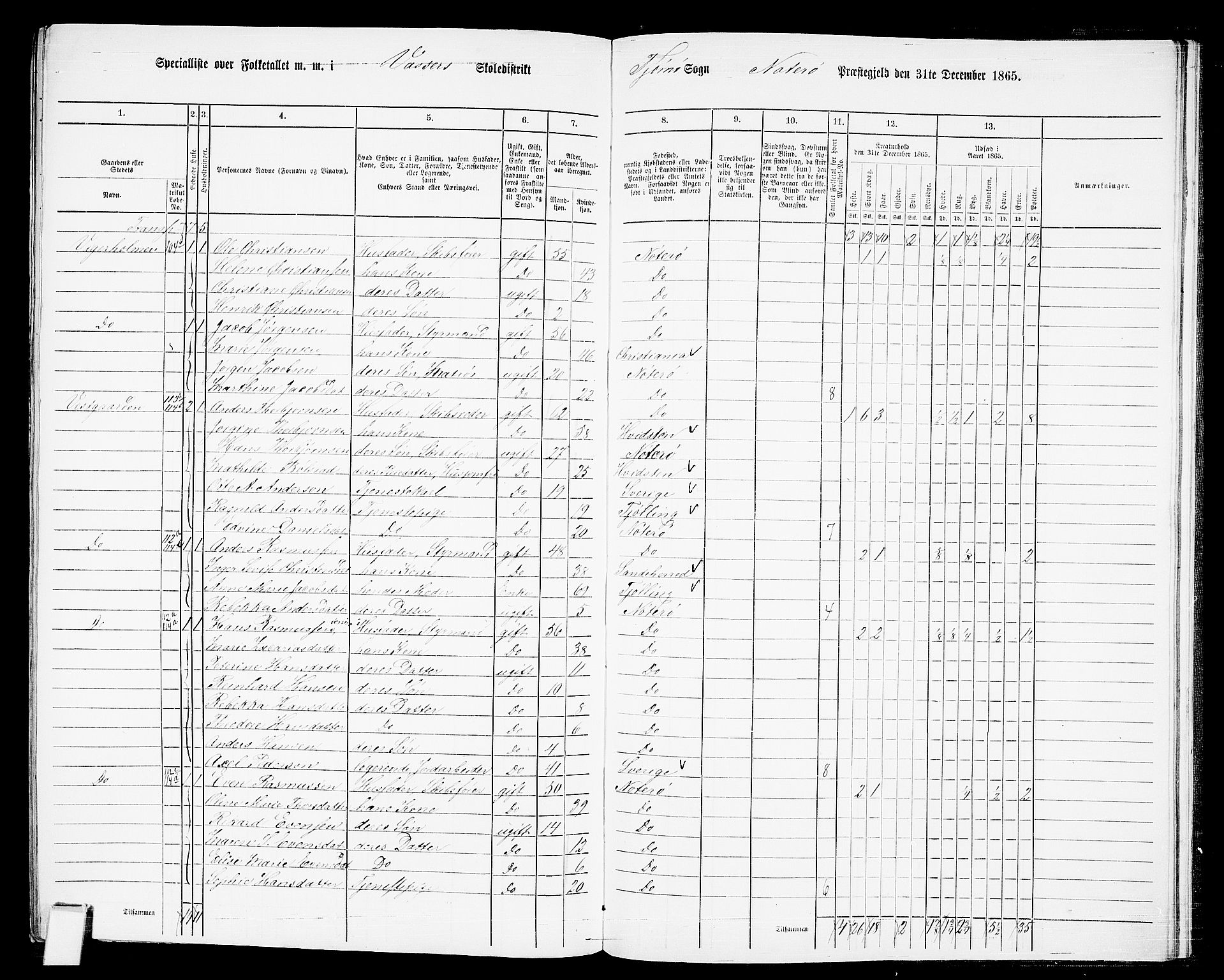 RA, 1865 census for Nøtterøy, 1865, p. 290