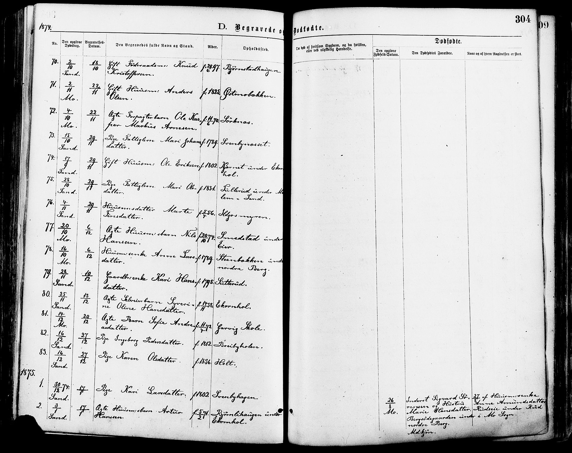 Nord-Odal prestekontor, AV/SAH-PREST-032/H/Ha/Haa/L0005: Parish register (official) no. 5, 1874-1885, p. 304