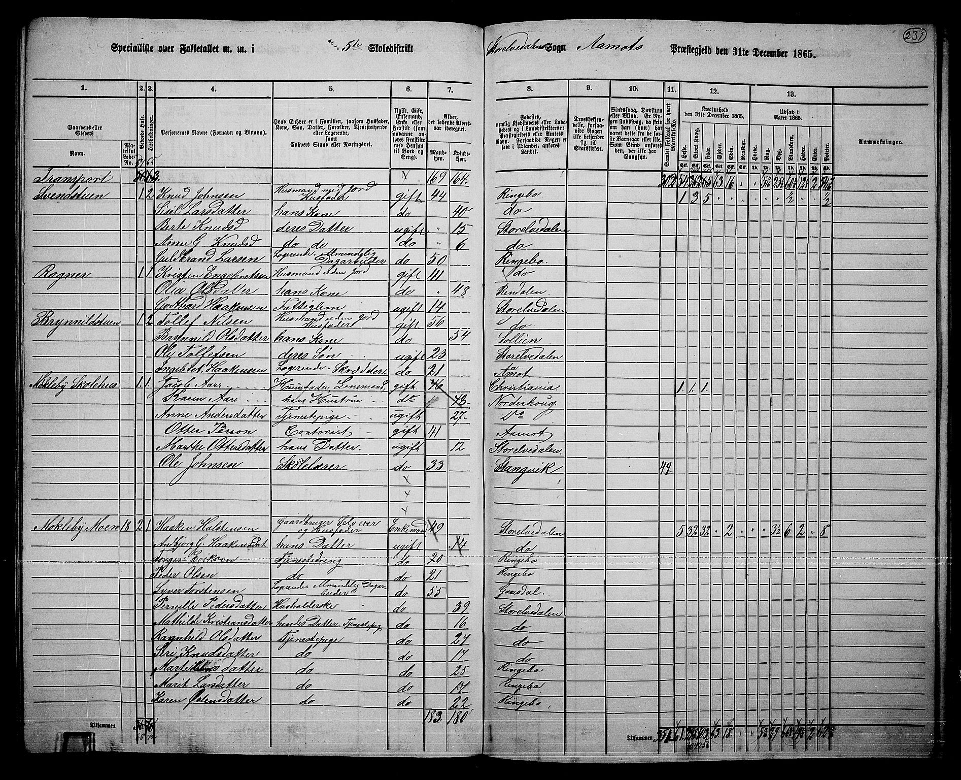 RA, 1865 census for Åmot, 1865, p. 201