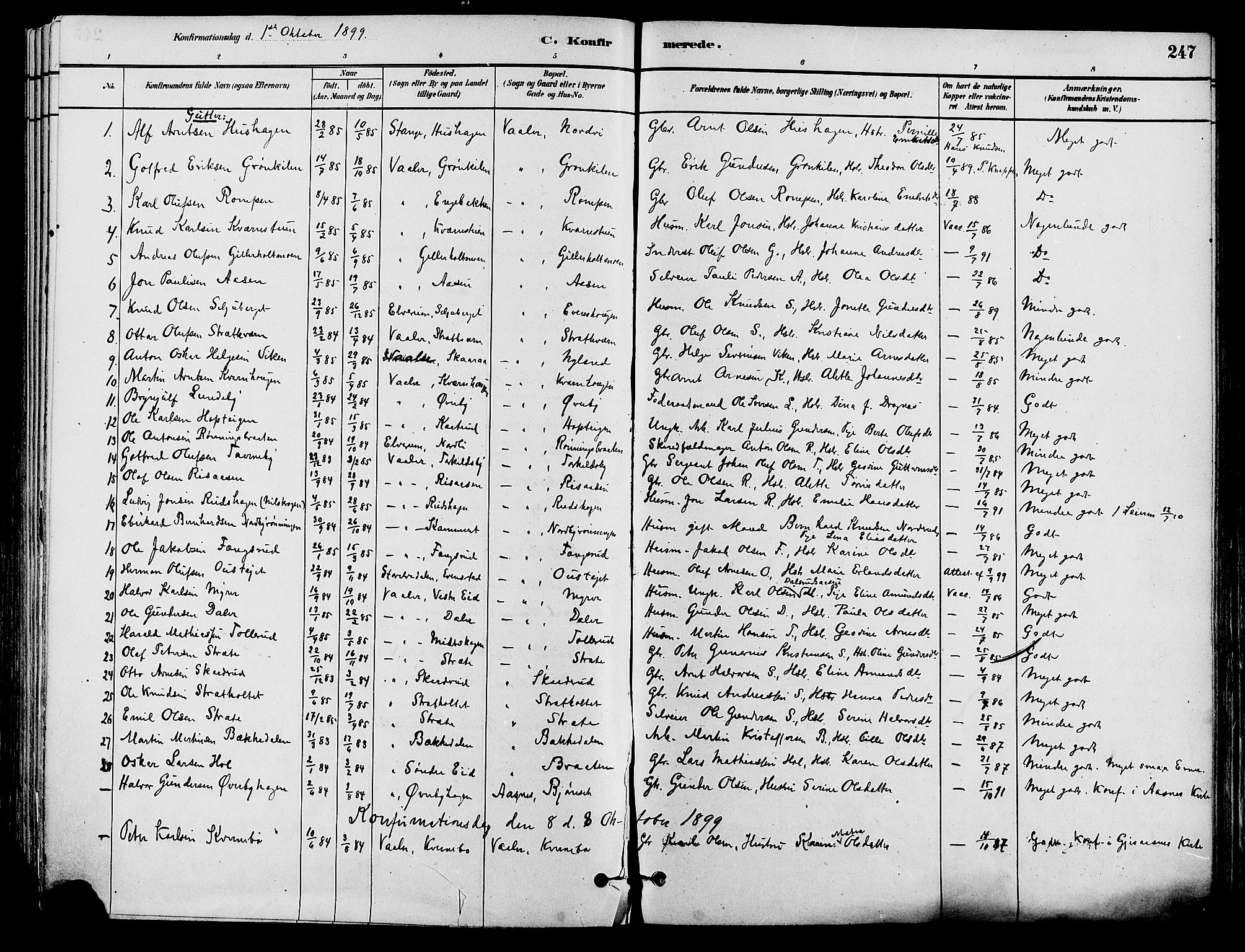 Våler prestekontor, Hedmark, AV/SAH-PREST-040/H/Ha/Haa/L0002: Parish register (official) no. 3, 1879-1911, p. 247