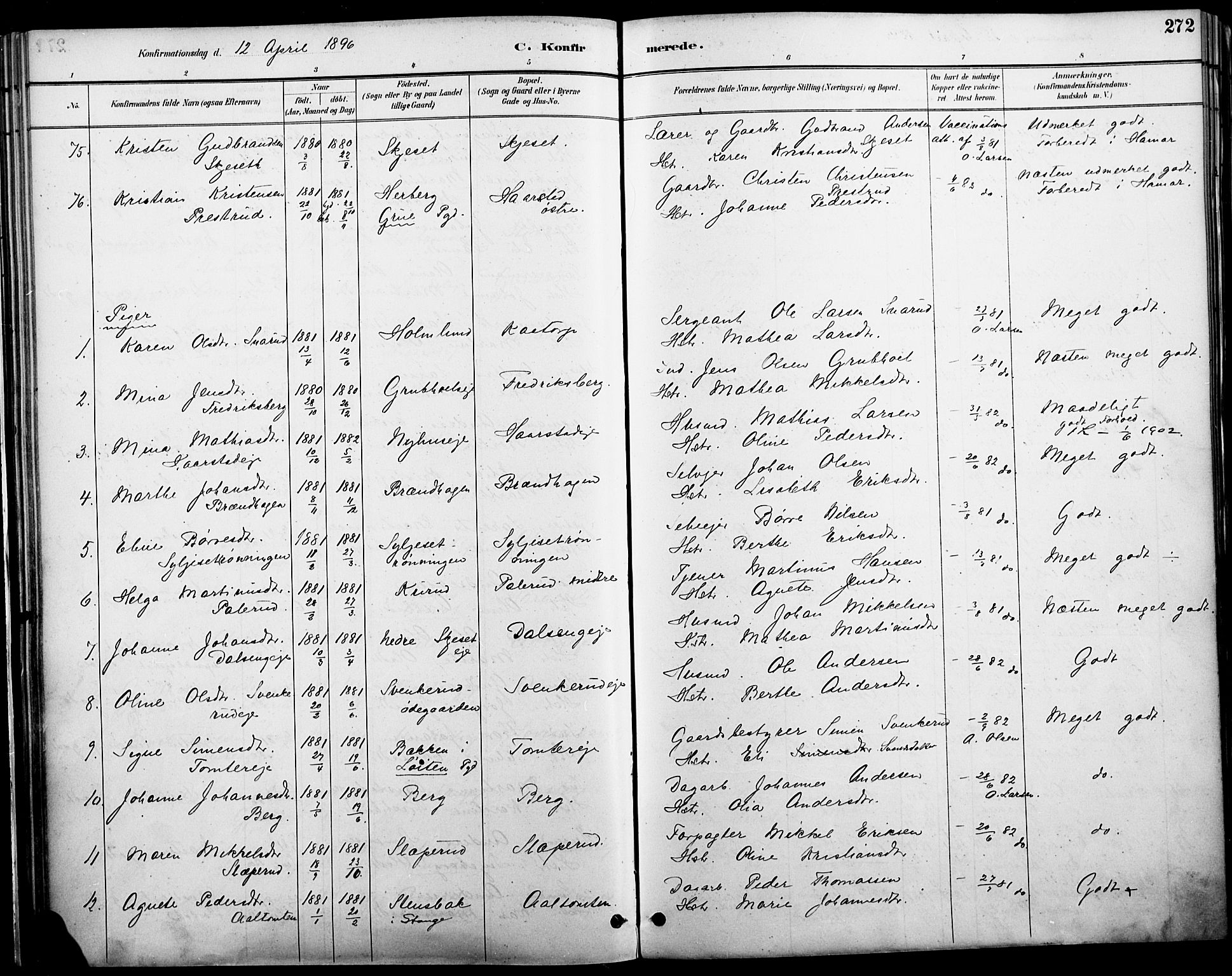 Vang prestekontor, Hedmark, AV/SAH-PREST-008/H/Ha/Haa/L0019A: Parish register (official) no. 19, 1886-1900, p. 272