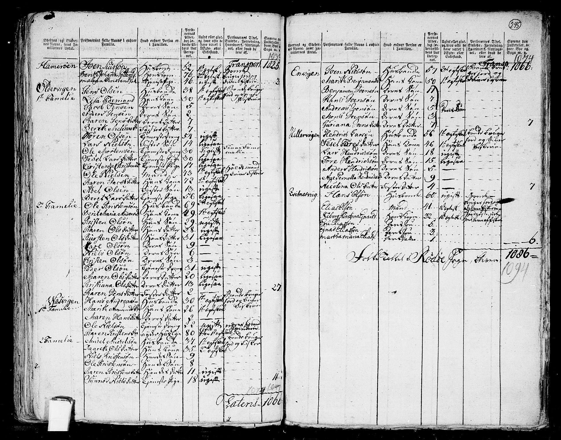 RA, 1801 census for 1836P Rødøy, 1801, p. 294b-295a