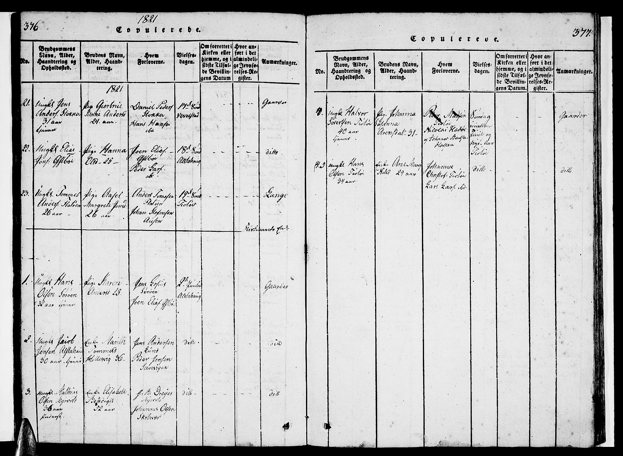 Ministerialprotokoller, klokkerbøker og fødselsregistre - Nordland, AV/SAT-A-1459/830/L0457: Parish register (copy) no. 830C01 /1, 1820-1842, p. 376-377