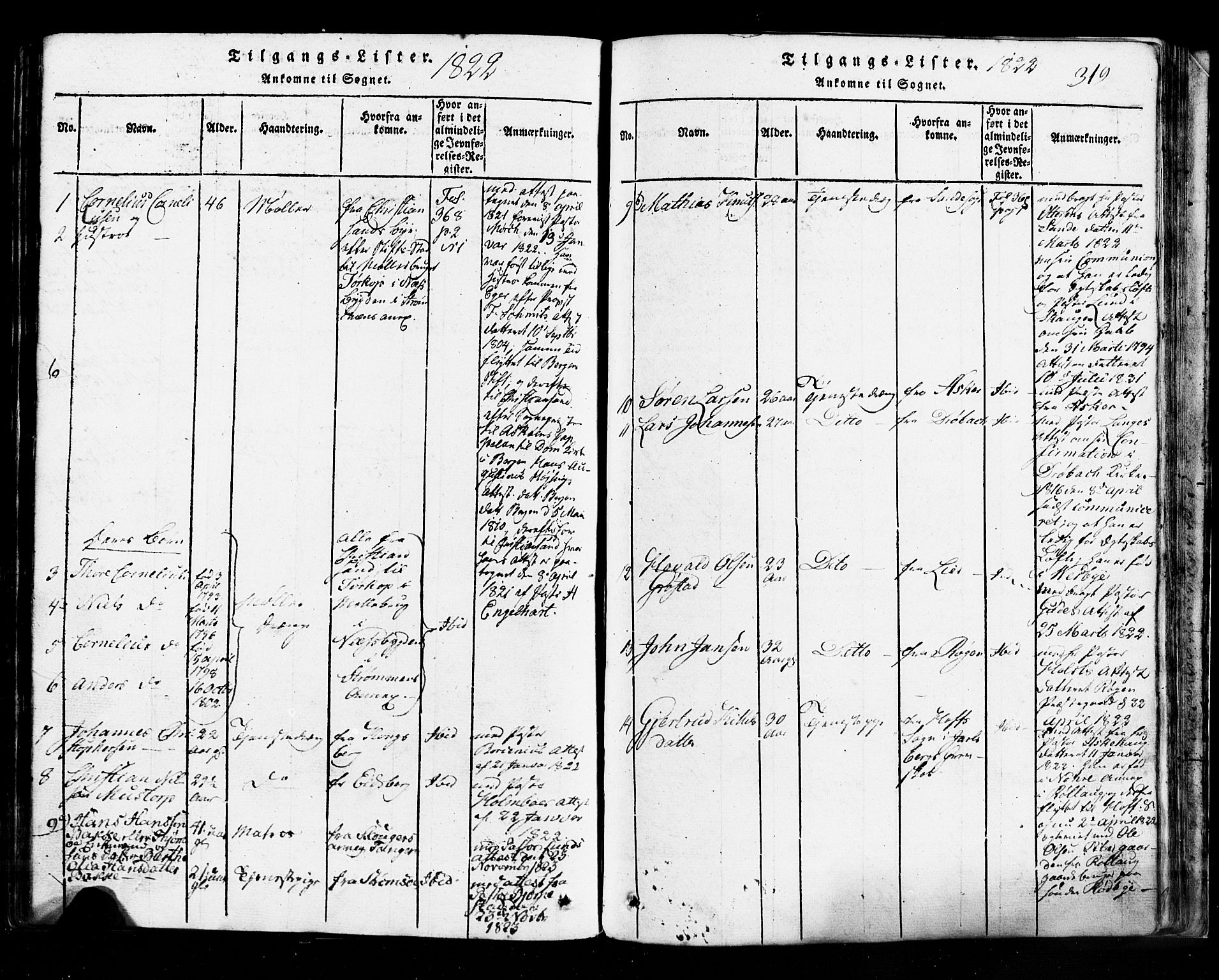 Hurum kirkebøker, SAKO/A-229/G/Ga/L0001: Parish register (copy) no. I 1, 1816-1826, p. 319