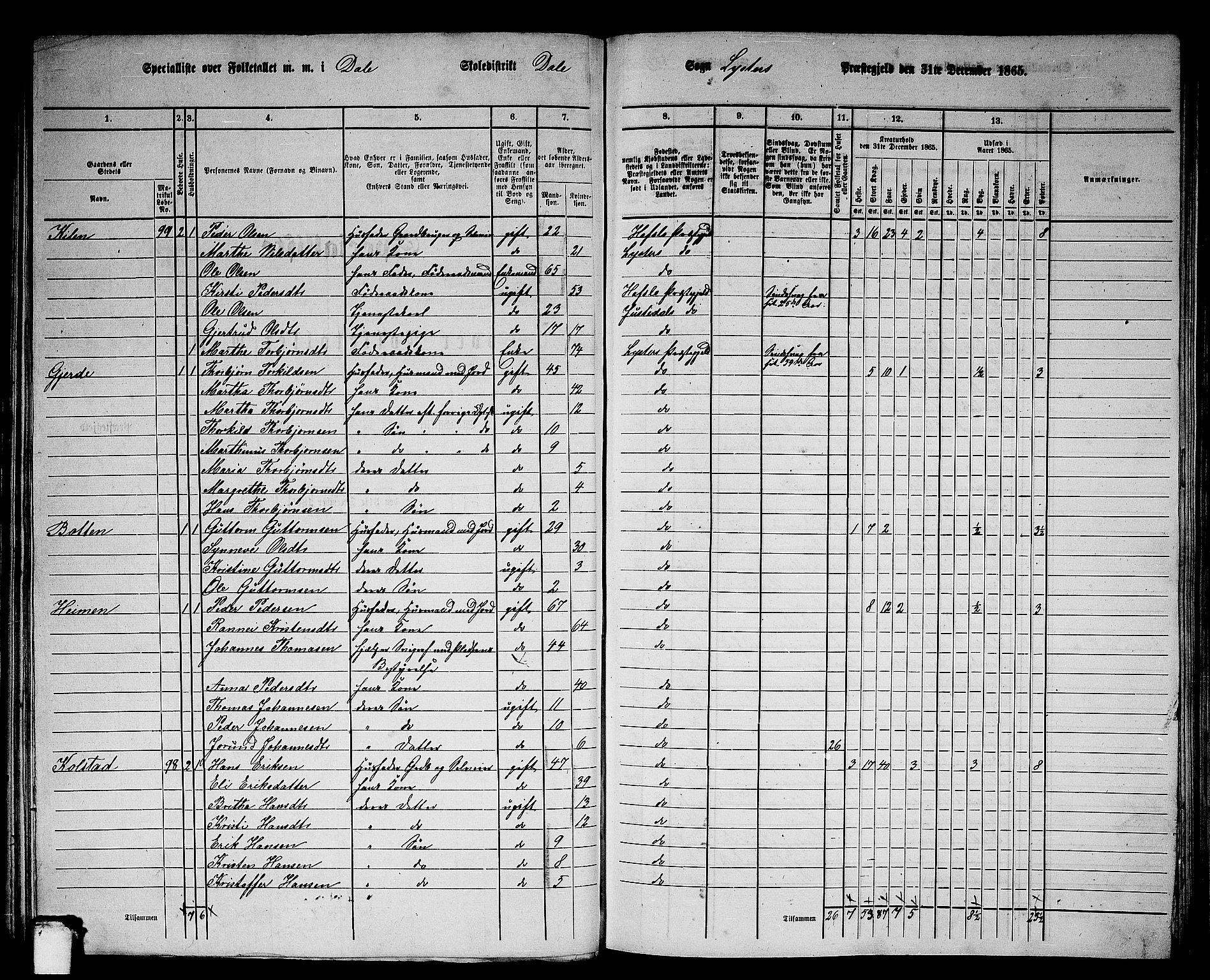 RA, 1865 census for Luster, 1865, p. 78