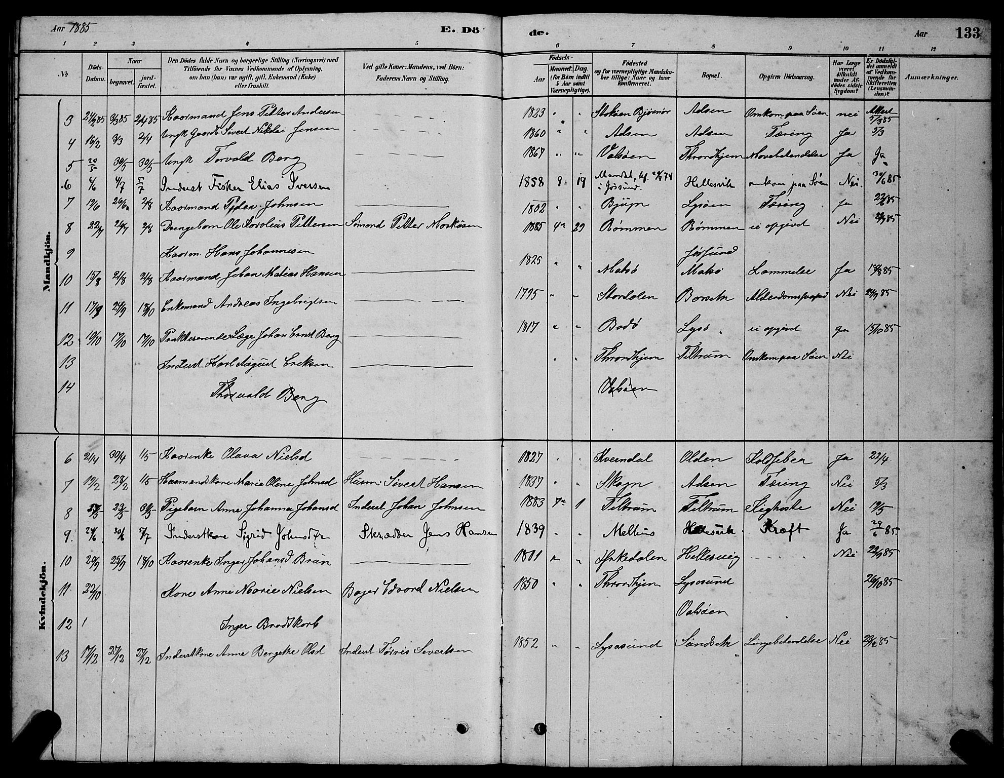 Ministerialprotokoller, klokkerbøker og fødselsregistre - Sør-Trøndelag, SAT/A-1456/654/L0665: Parish register (copy) no. 654C01, 1879-1901, p. 133