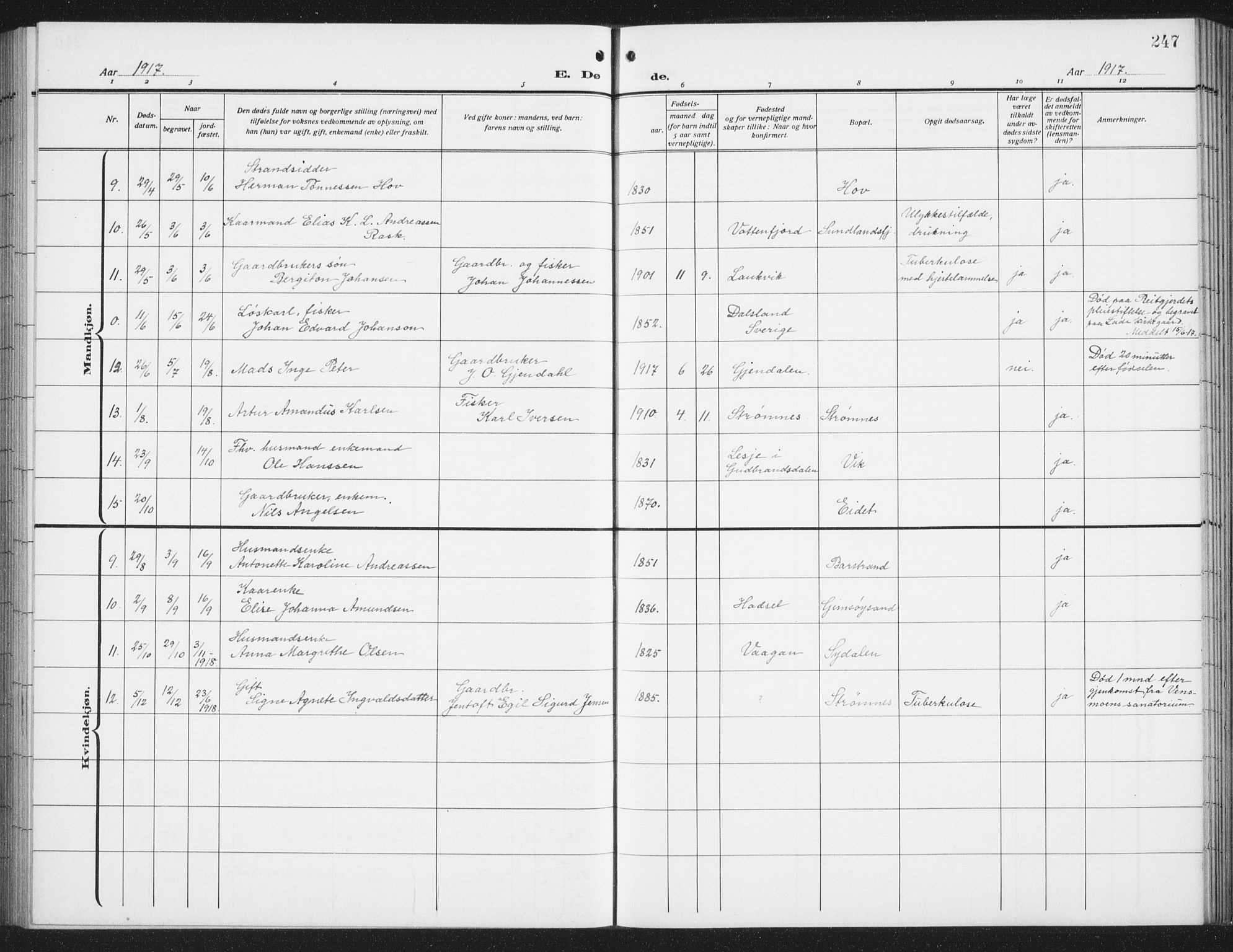 Ministerialprotokoller, klokkerbøker og fødselsregistre - Nordland, AV/SAT-A-1459/876/L1106: Parish register (copy) no. 876C05, 1915-1942, p. 247