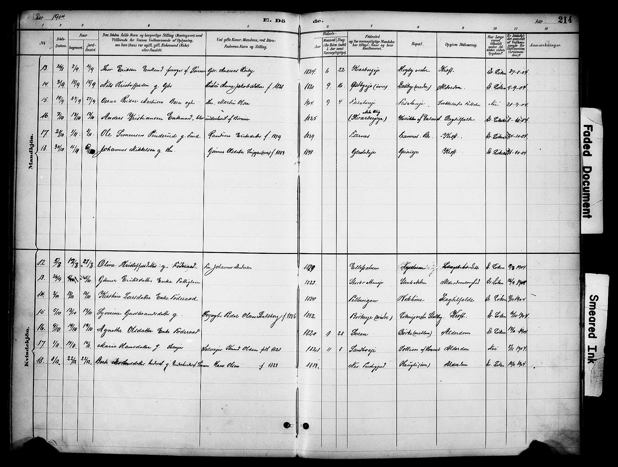 Ringsaker prestekontor, AV/SAH-PREST-014/K/Ka/L0016: Parish register (official) no. 16, 1891-1904, p. 214