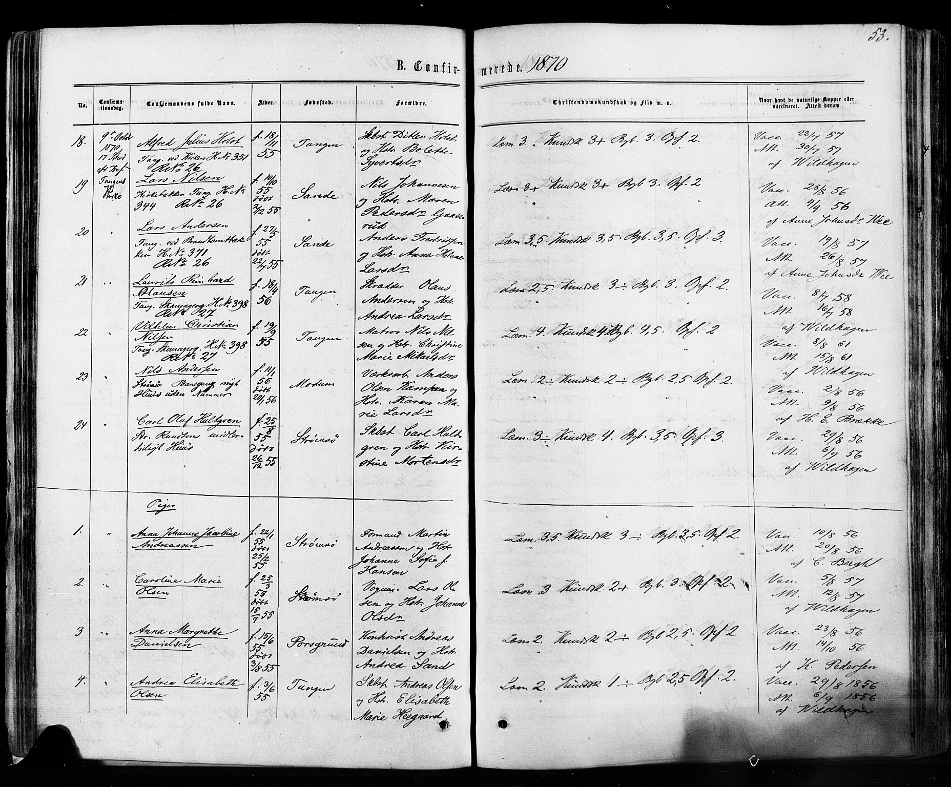Strømsø kirkebøker, AV/SAKO-A-246/F/Fa/L0018: Parish register (official) no. I 18, 1865-1878, p. 53