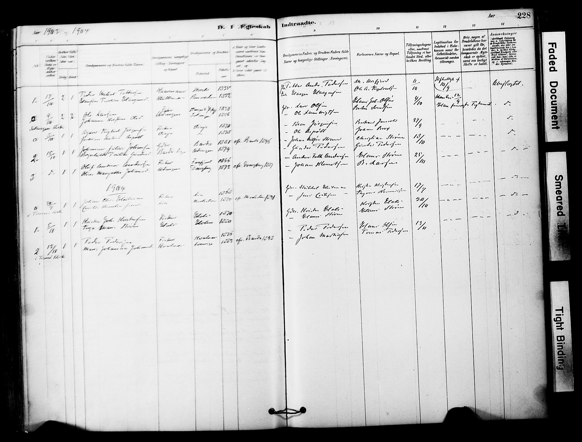 Tranøy sokneprestkontor, AV/SATØ-S-1313/I/Ia/Iaa/L0011kirke: Parish register (official) no. 11, 1878-1904, p. 228