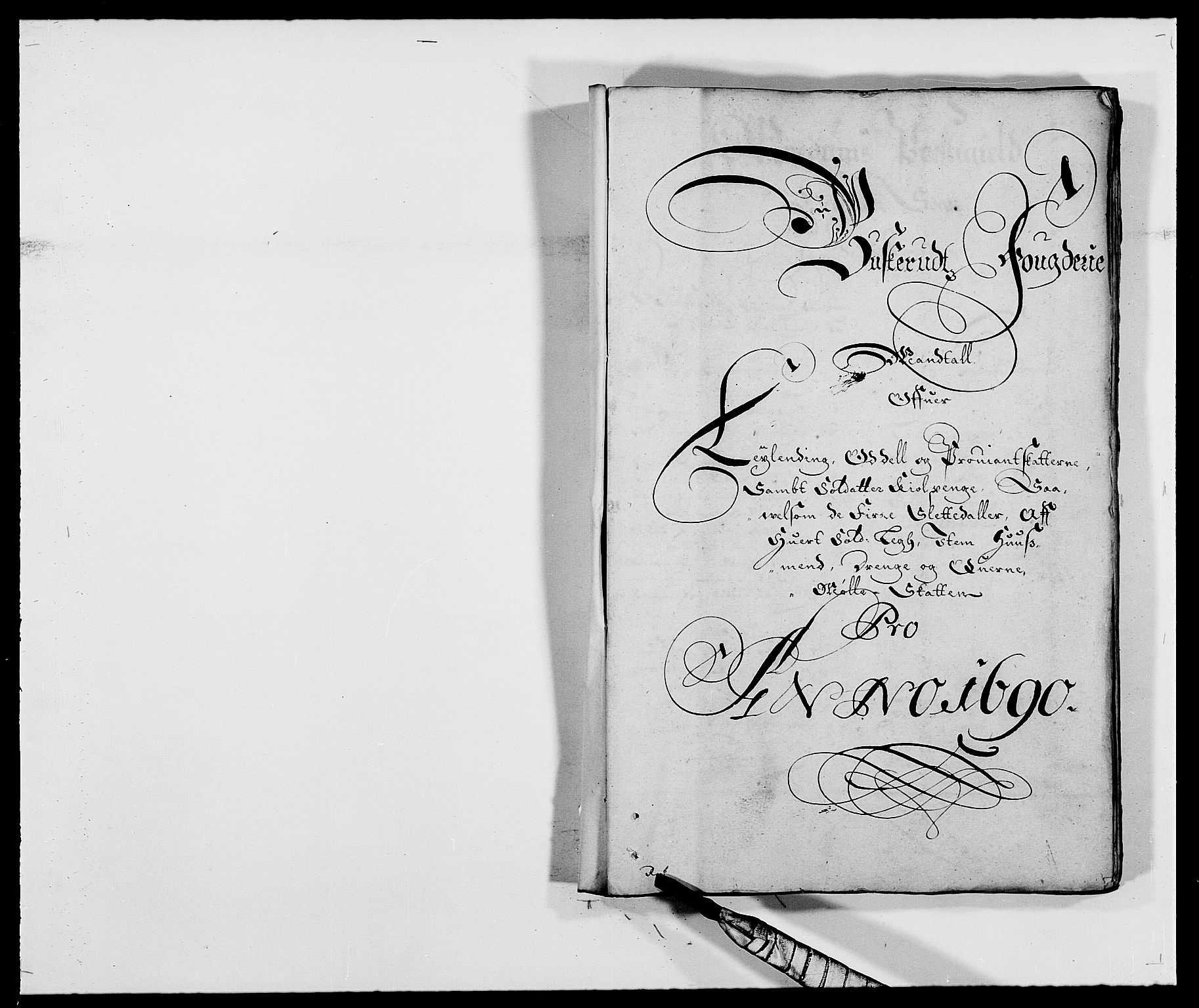 Rentekammeret inntil 1814, Reviderte regnskaper, Fogderegnskap, RA/EA-4092/R25/L1680: Fogderegnskap Buskerud, 1689-1690, p. 293