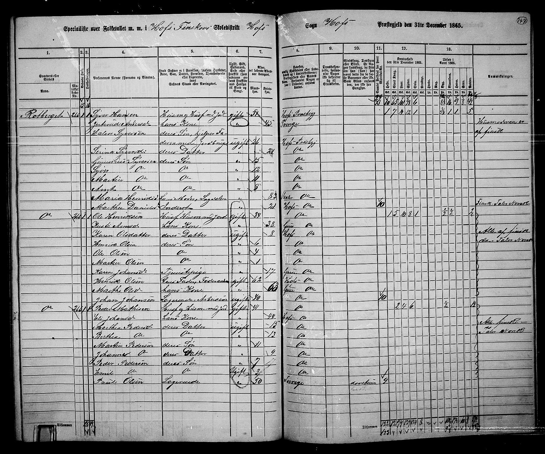 RA, 1865 census for Hof, 1865, p. 133