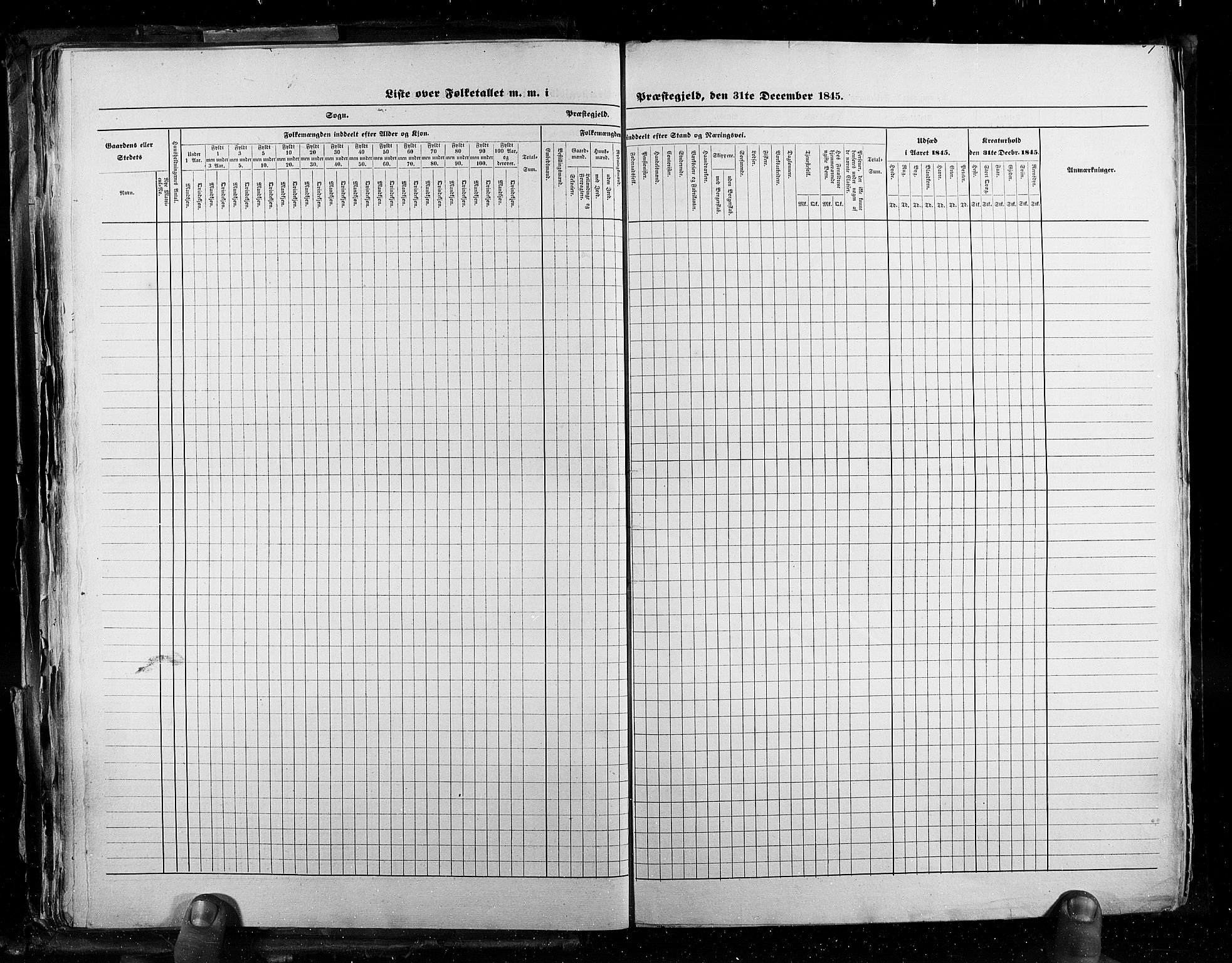 RA, Census 1845, vol. 3: Hedemarken amt og Kristians amt, 1845, p. 67