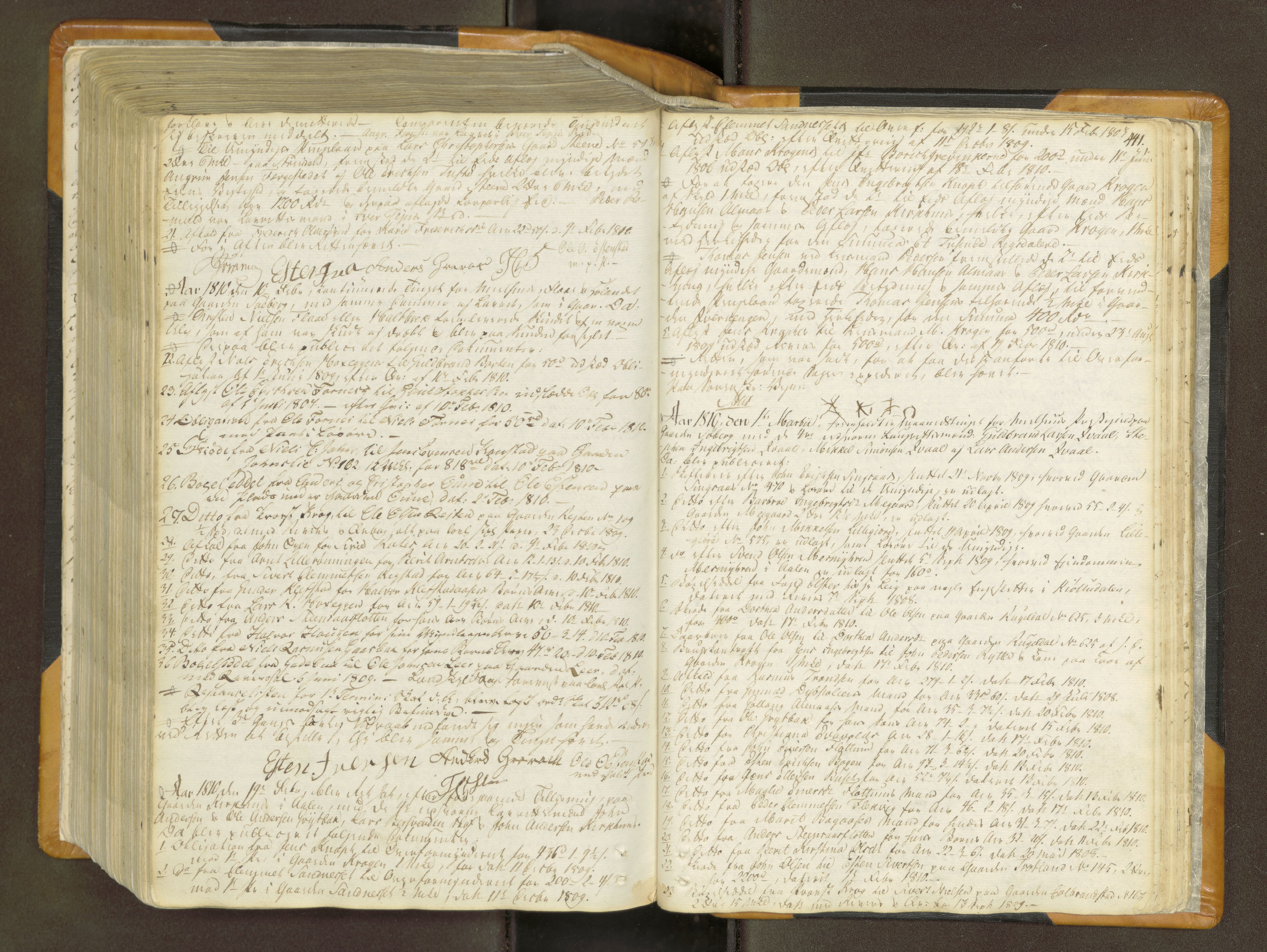 Gauldal sorenskriveri, AV/SAT-A-0014/1/1/1A/L0011: Tingbok 10, 1803-1810, p. 440b-441a