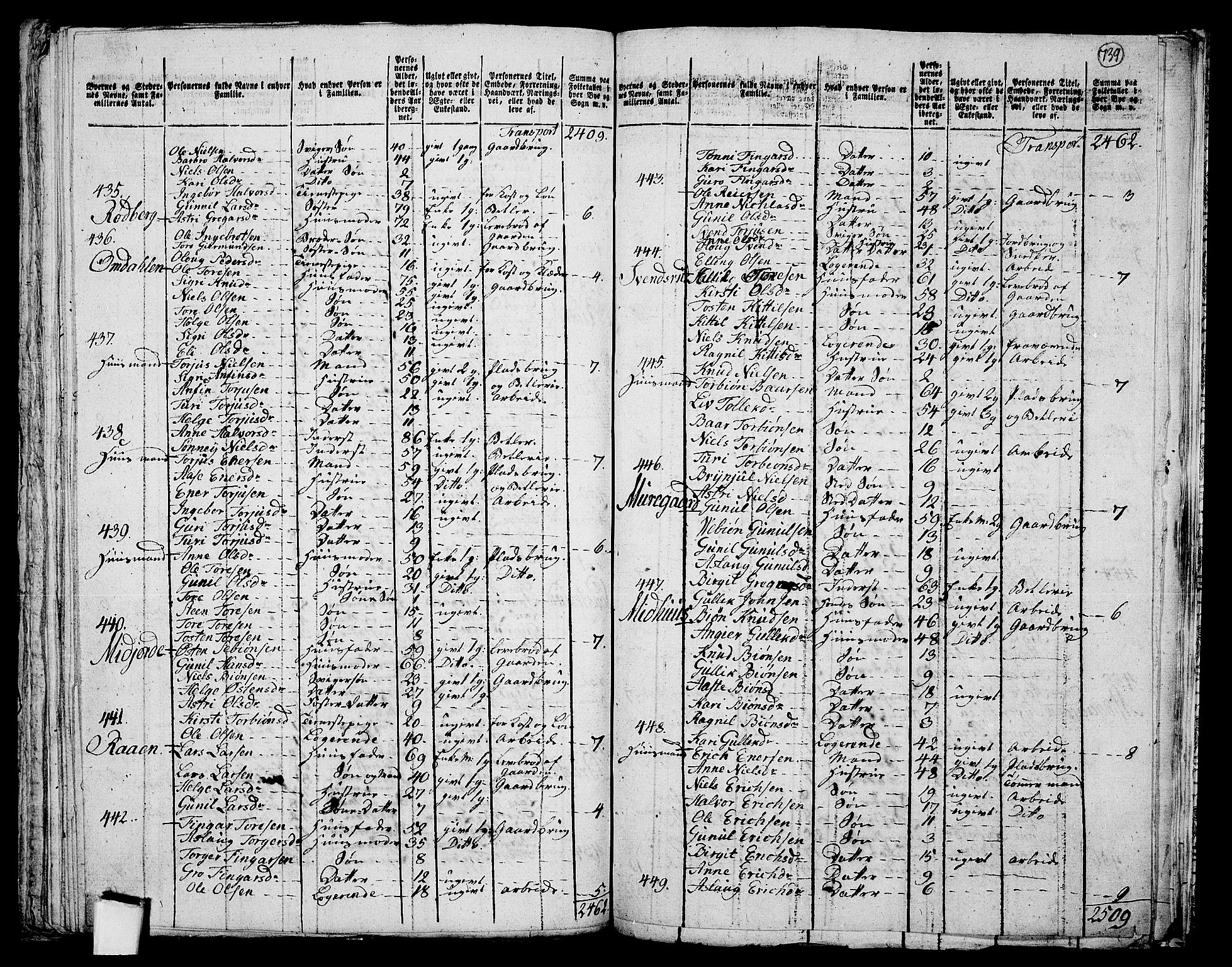 RA, 1801 census for 0632P Rollag, 1801, p. 738b-739a