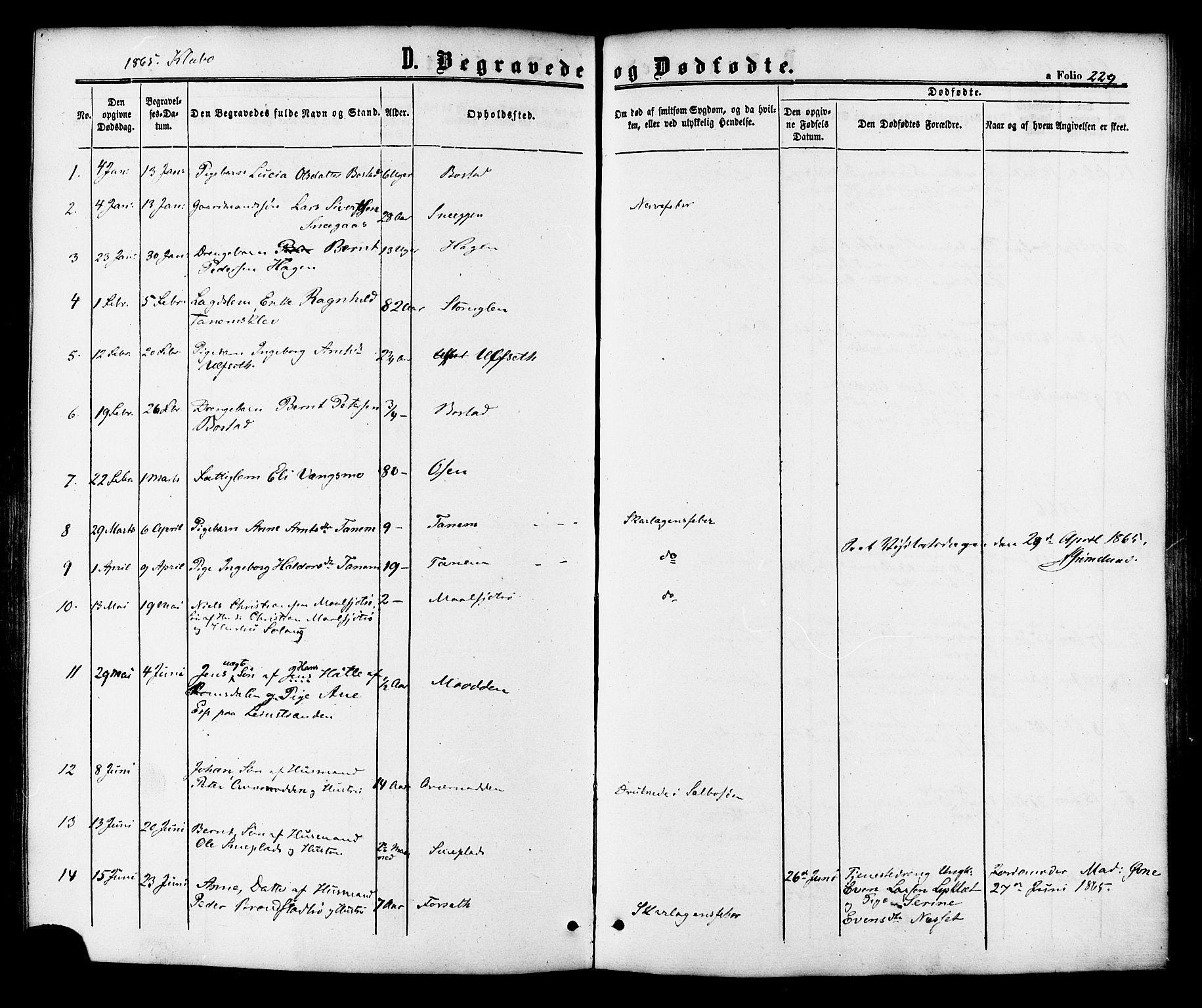 Ministerialprotokoller, klokkerbøker og fødselsregistre - Sør-Trøndelag, SAT/A-1456/618/L0442: Parish register (official) no. 618A06 /1, 1863-1879, p. 229