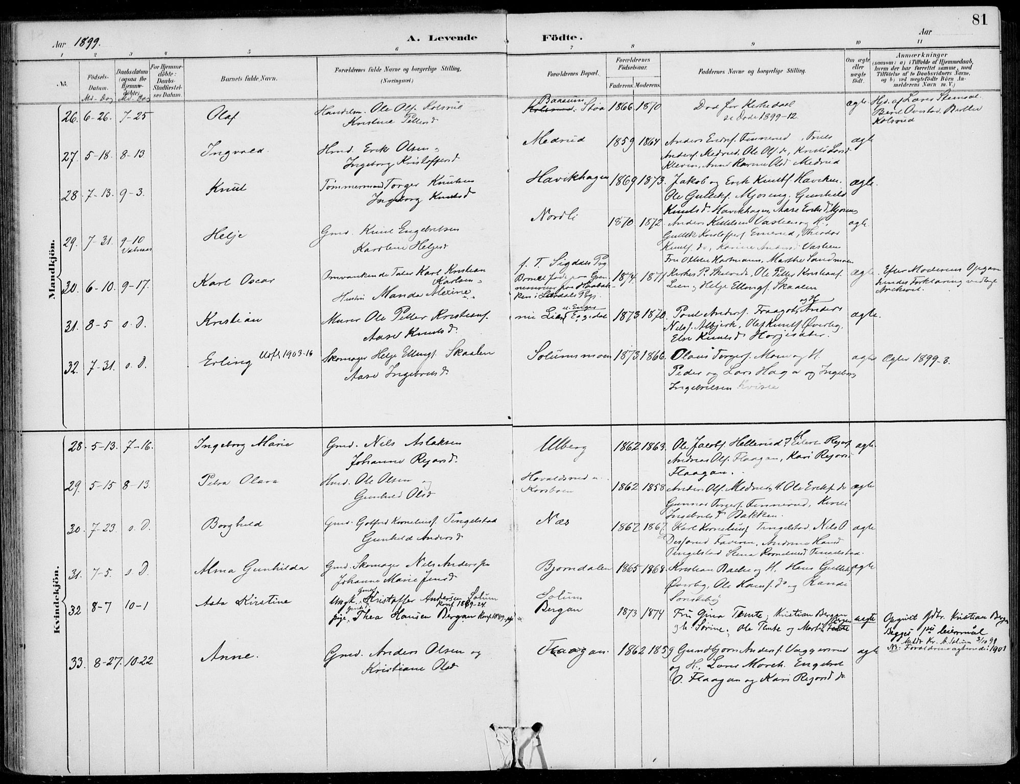 Sigdal kirkebøker, AV/SAKO-A-245/F/Fb/L0001: Parish register (official) no. II 1, 1888-1900, p. 81