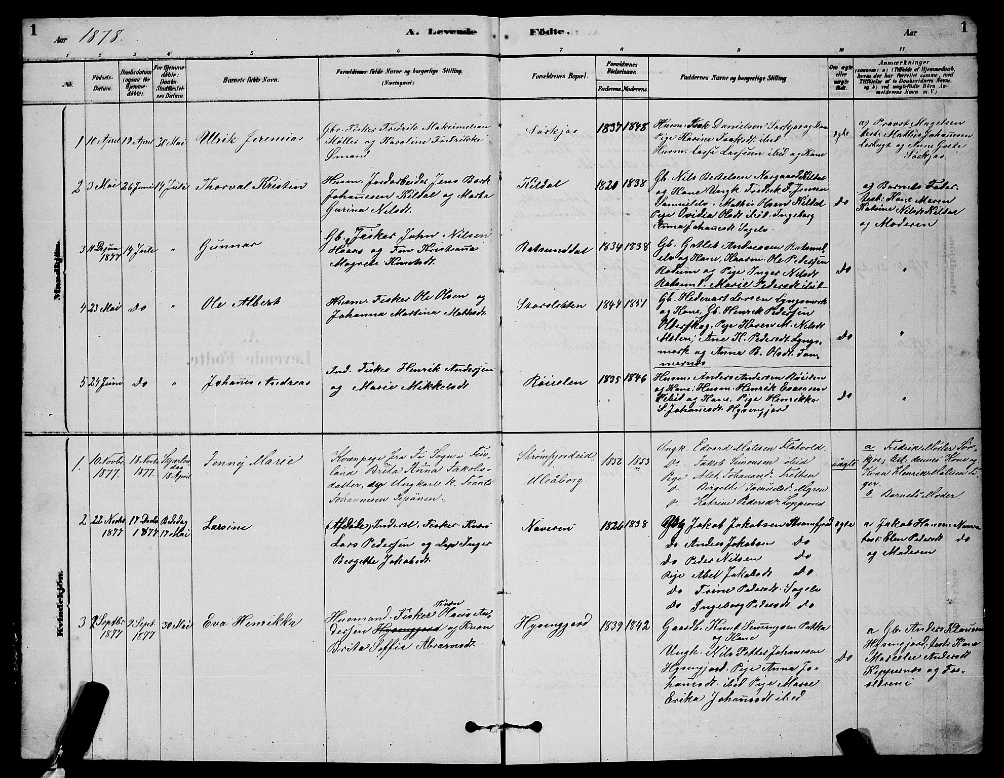 Skjervøy sokneprestkontor, SATØ/S-1300/H/Ha/Hab/L0020klokker: Parish register (copy) no. 20, 1878-1892, p. 1
