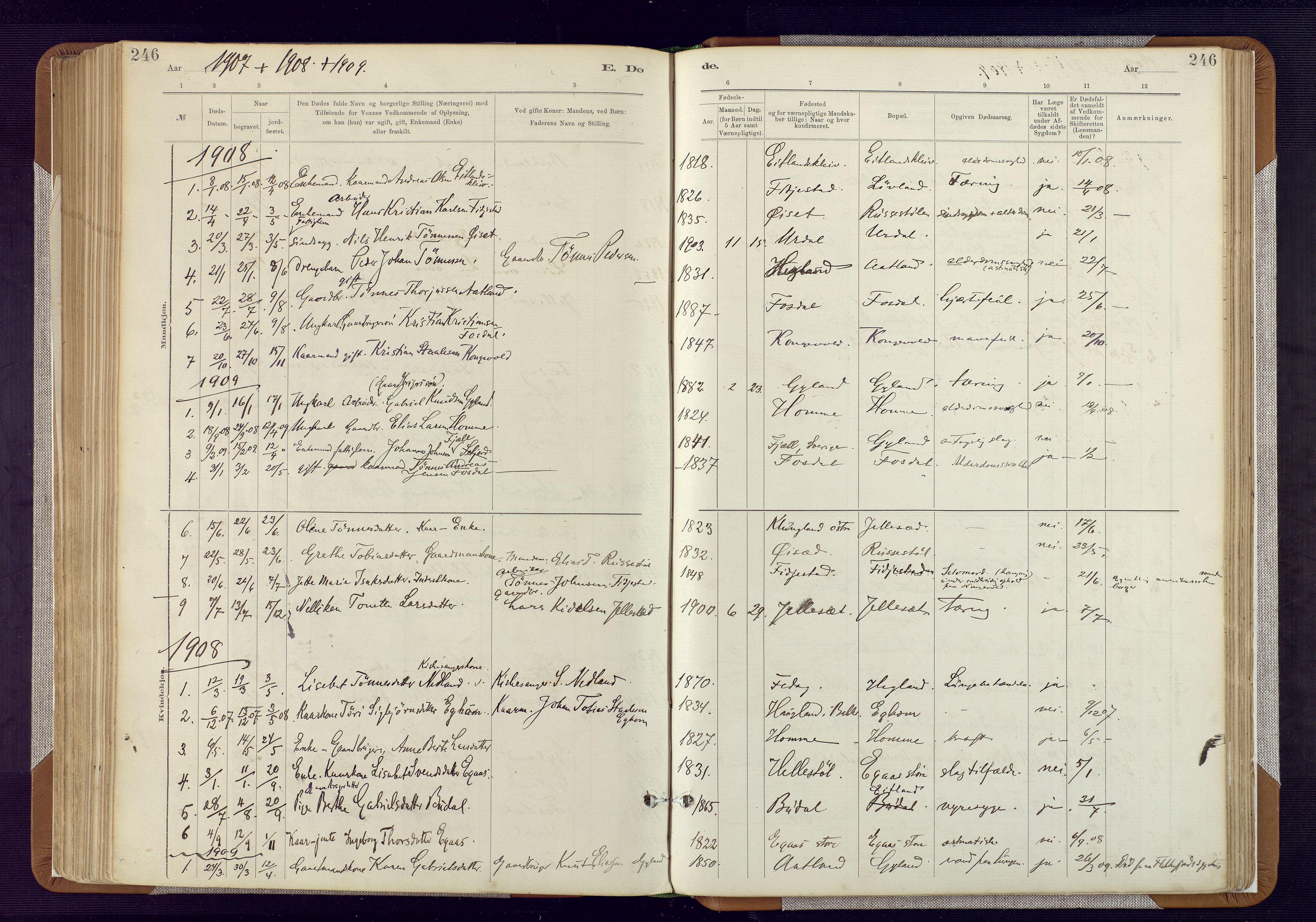 Bakke sokneprestkontor, SAK/1111-0002/F/Fa/Fab/L0003: Parish register (official) no. A 3, 1884-1921, p. 246
