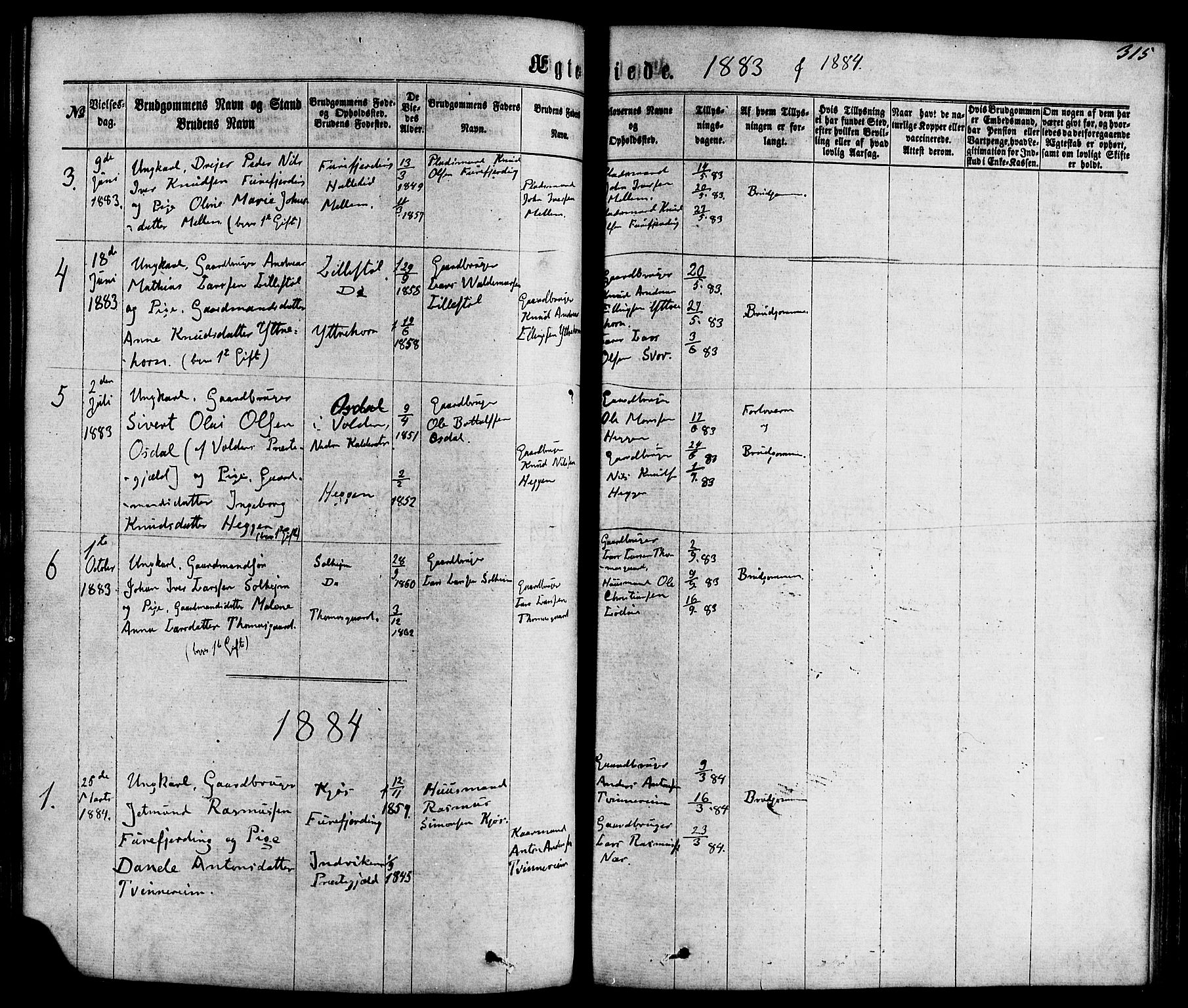 Hornindal sokneprestembete, SAB/A-82401/H/Haa/Haaa/L0002: Parish register (official) no. A 2, 1867-1884, p. 315