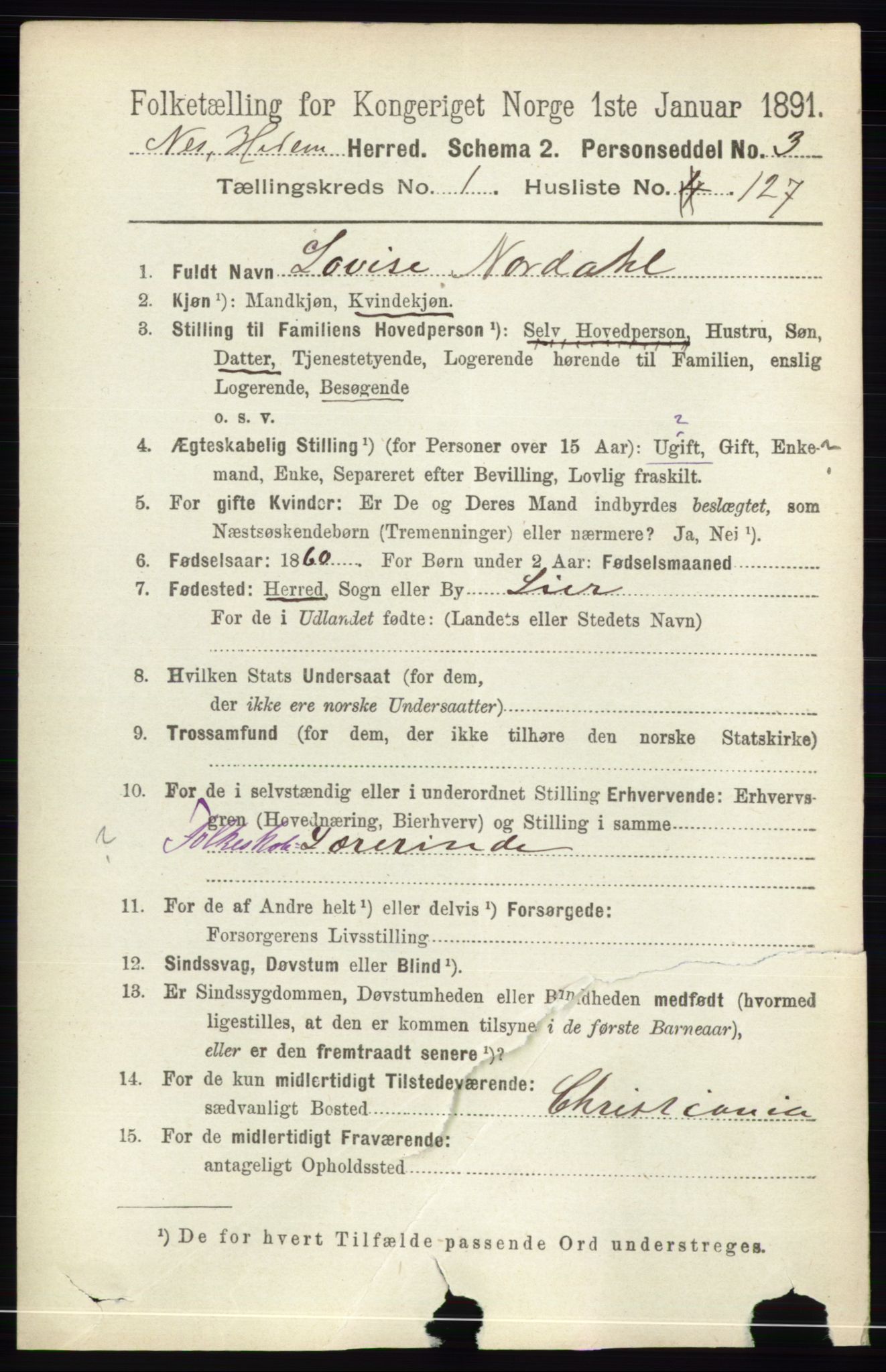 RA, 1891 census for 0411 Nes, 1891, p. 1000