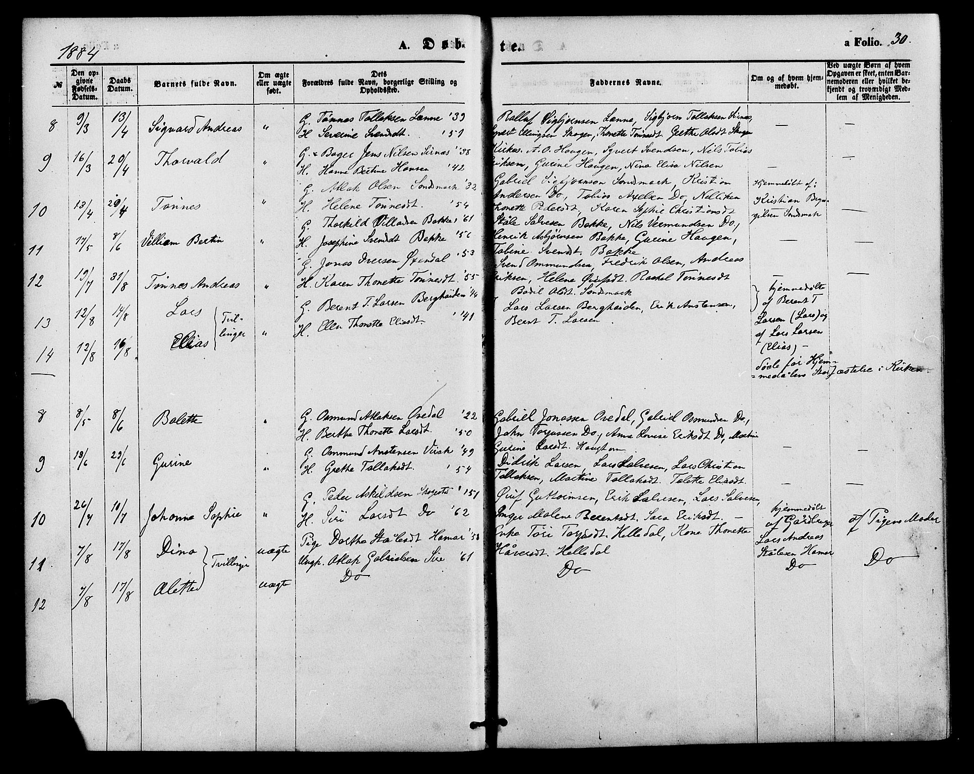 Bakke sokneprestkontor, AV/SAK-1111-0002/F/Fa/Faa/L0007: Parish register (official) no. A 7, 1877-1886, p. 30