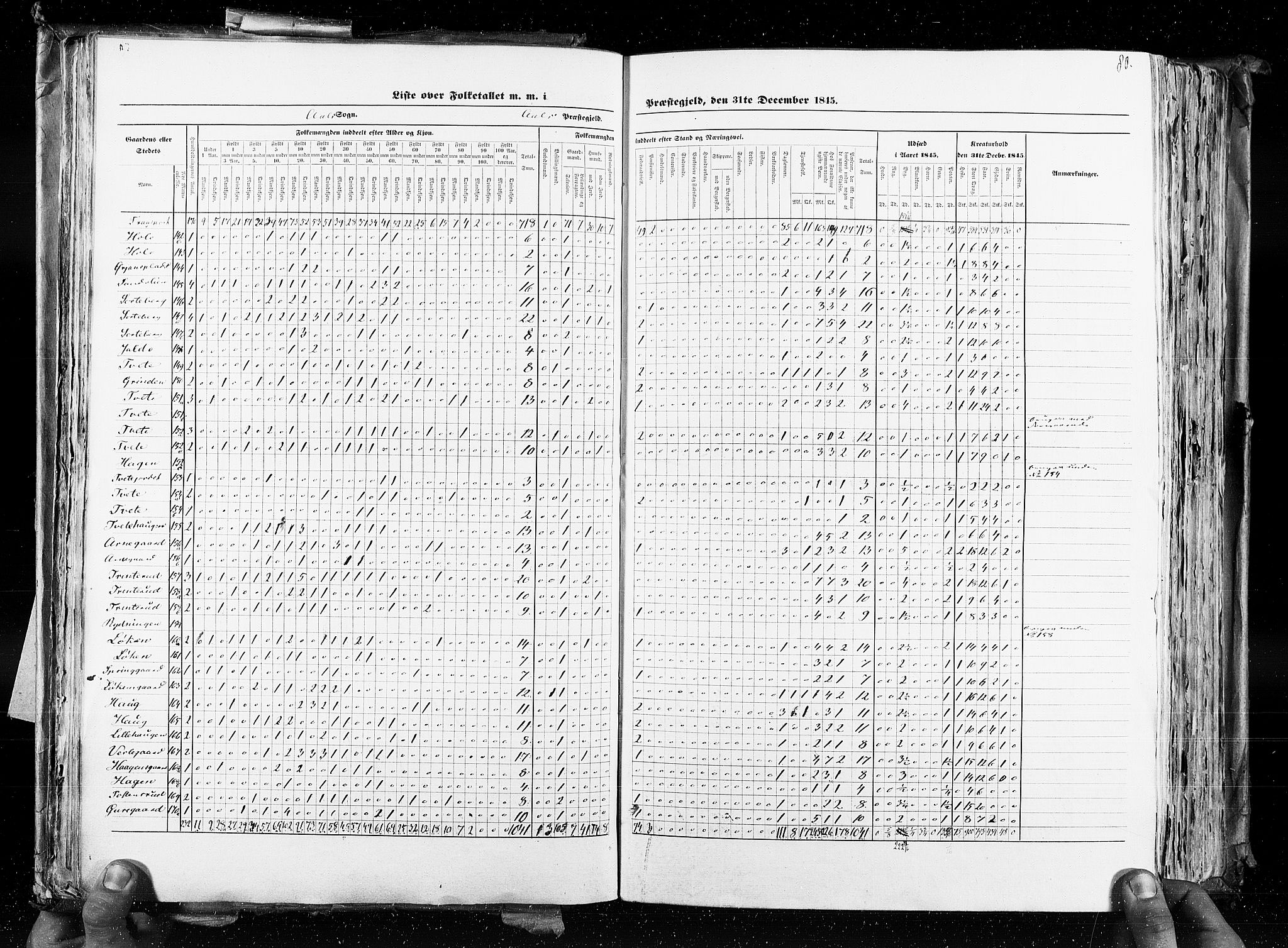 RA, Census 1845, vol. 4: Buskerud amt og Jarlsberg og Larvik amt, 1845, p. 80