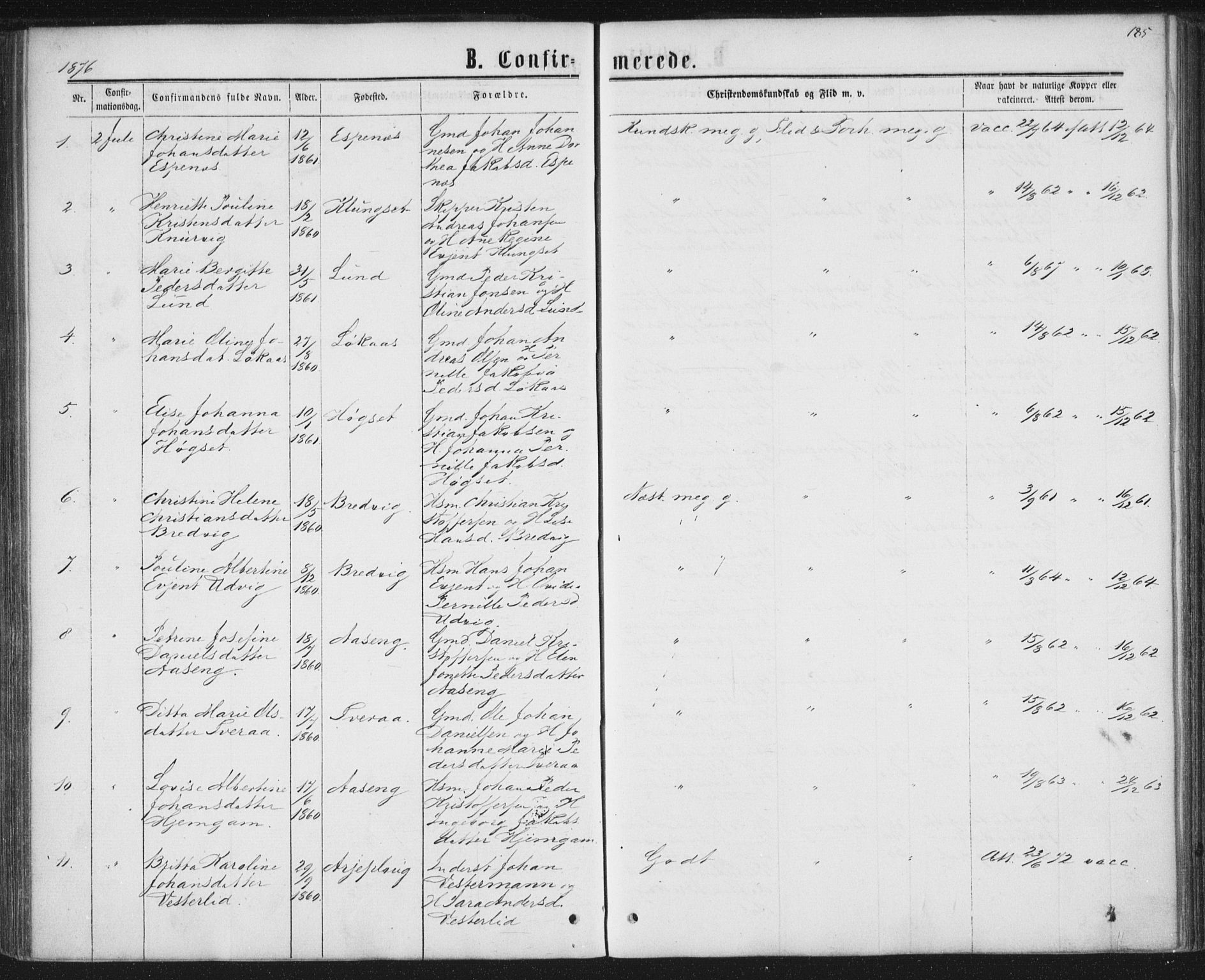 Ministerialprotokoller, klokkerbøker og fødselsregistre - Nordland, AV/SAT-A-1459/852/L0739: Parish register (official) no. 852A09, 1866-1877, p. 185