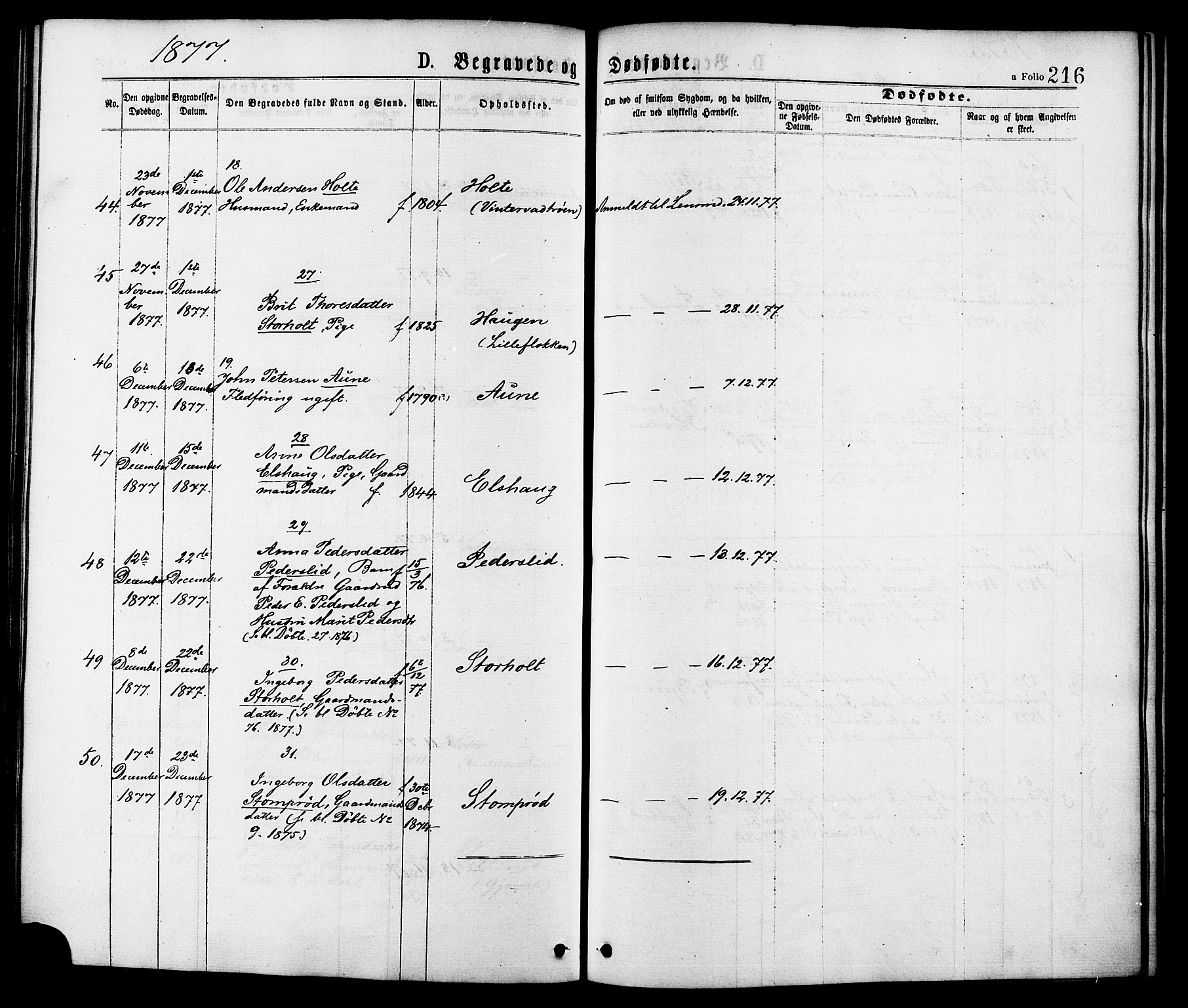 Ministerialprotokoller, klokkerbøker og fødselsregistre - Møre og Romsdal, AV/SAT-A-1454/598/L1068: Parish register (official) no. 598A02, 1872-1881, p. 216