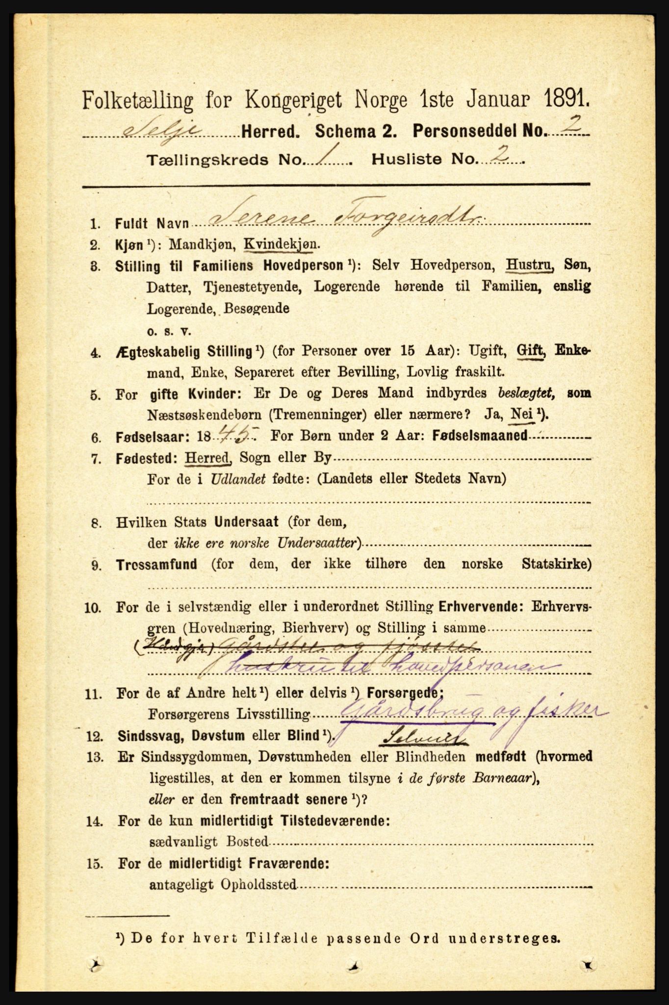 RA, 1891 census for 1441 Selje, 1891, p. 102