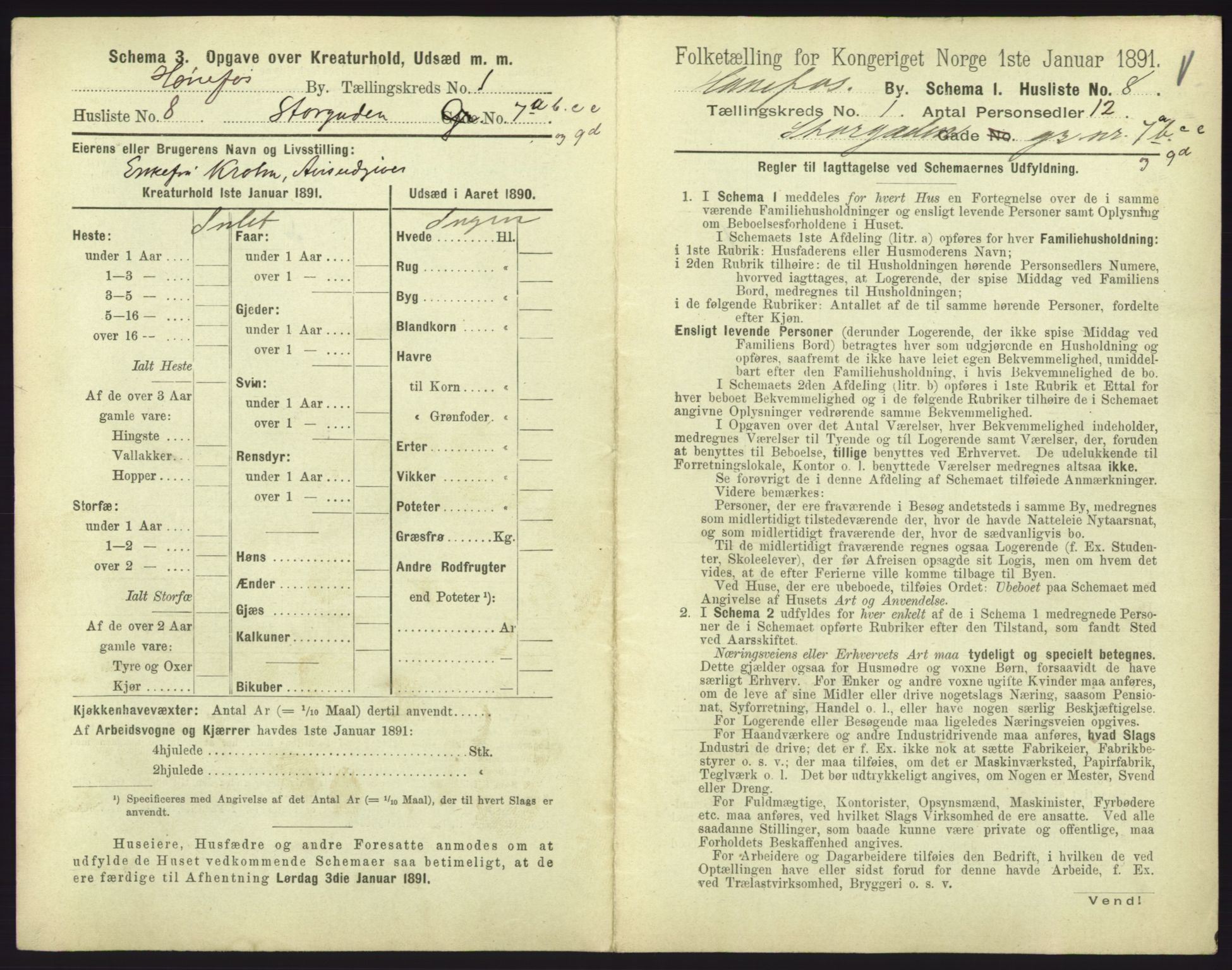 RA, 1891 census for 0601 Hønefoss, 1891, p. 81