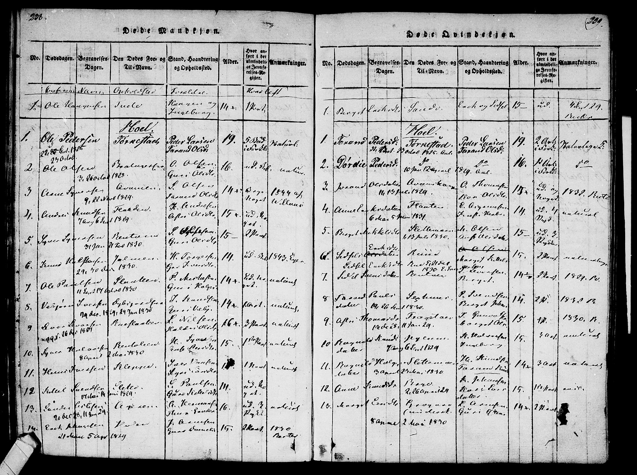 Ål kirkebøker, AV/SAKO-A-249/F/Fa/L0004: Parish register (official) no. I 4, 1815-1825, p. 238-239