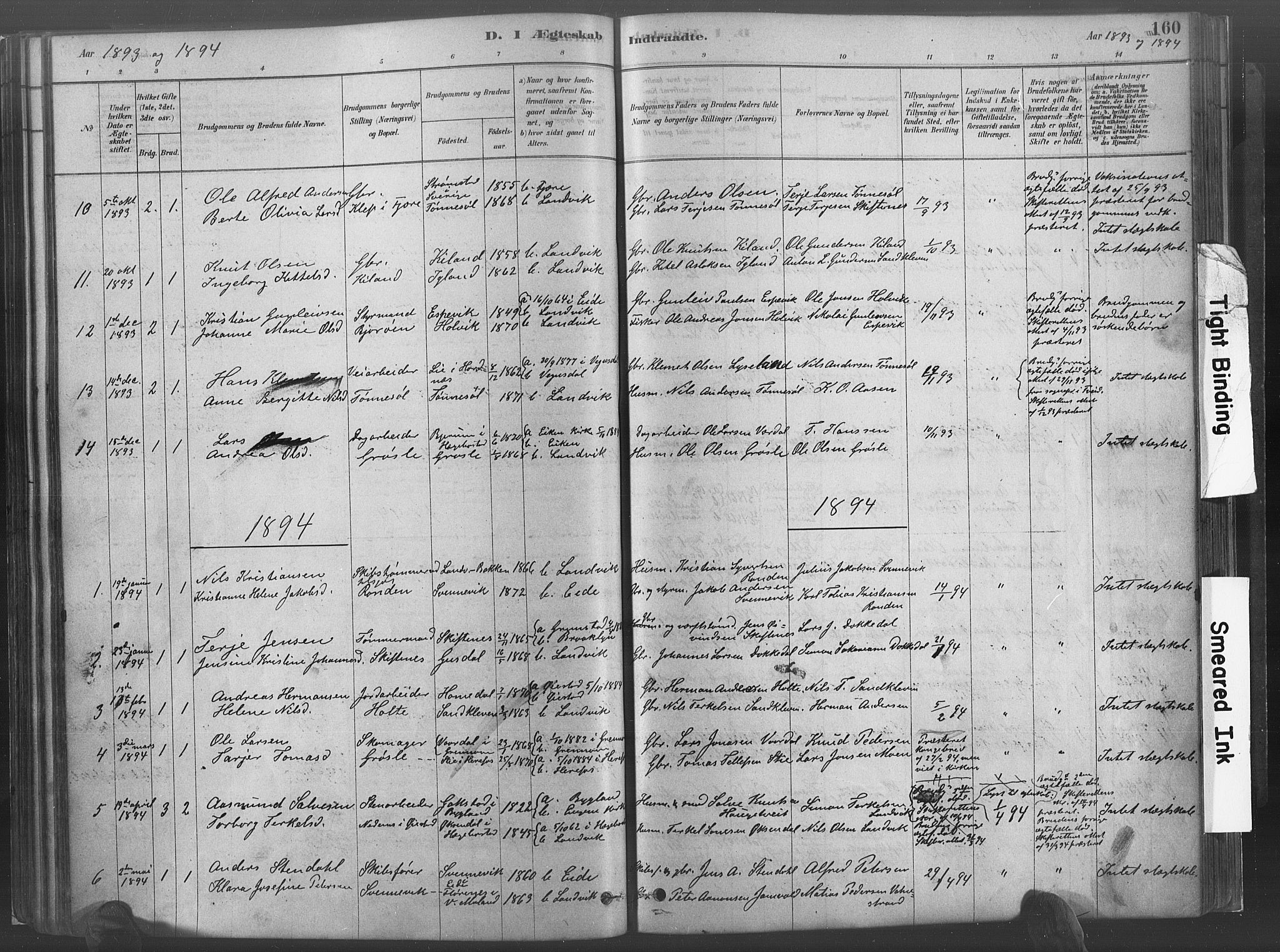 Hommedal sokneprestkontor, SAK/1111-0023/F/Fa/Fab/L0006: Parish register (official) no. A 6, 1878-1897, p. 160