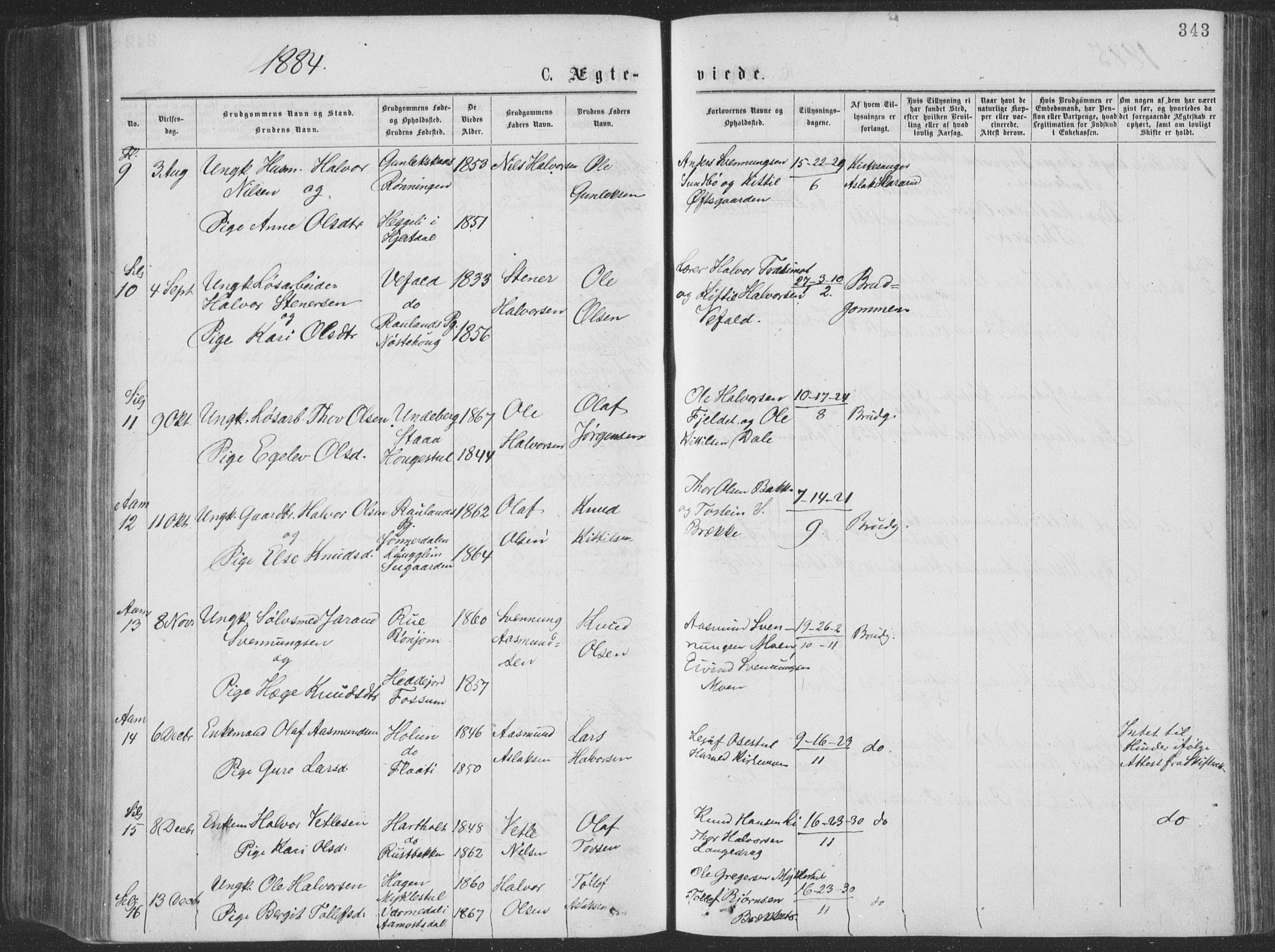 Seljord kirkebøker, AV/SAKO-A-20/F/Fa/L0014: Parish register (official) no. I 14, 1877-1886, p. 343