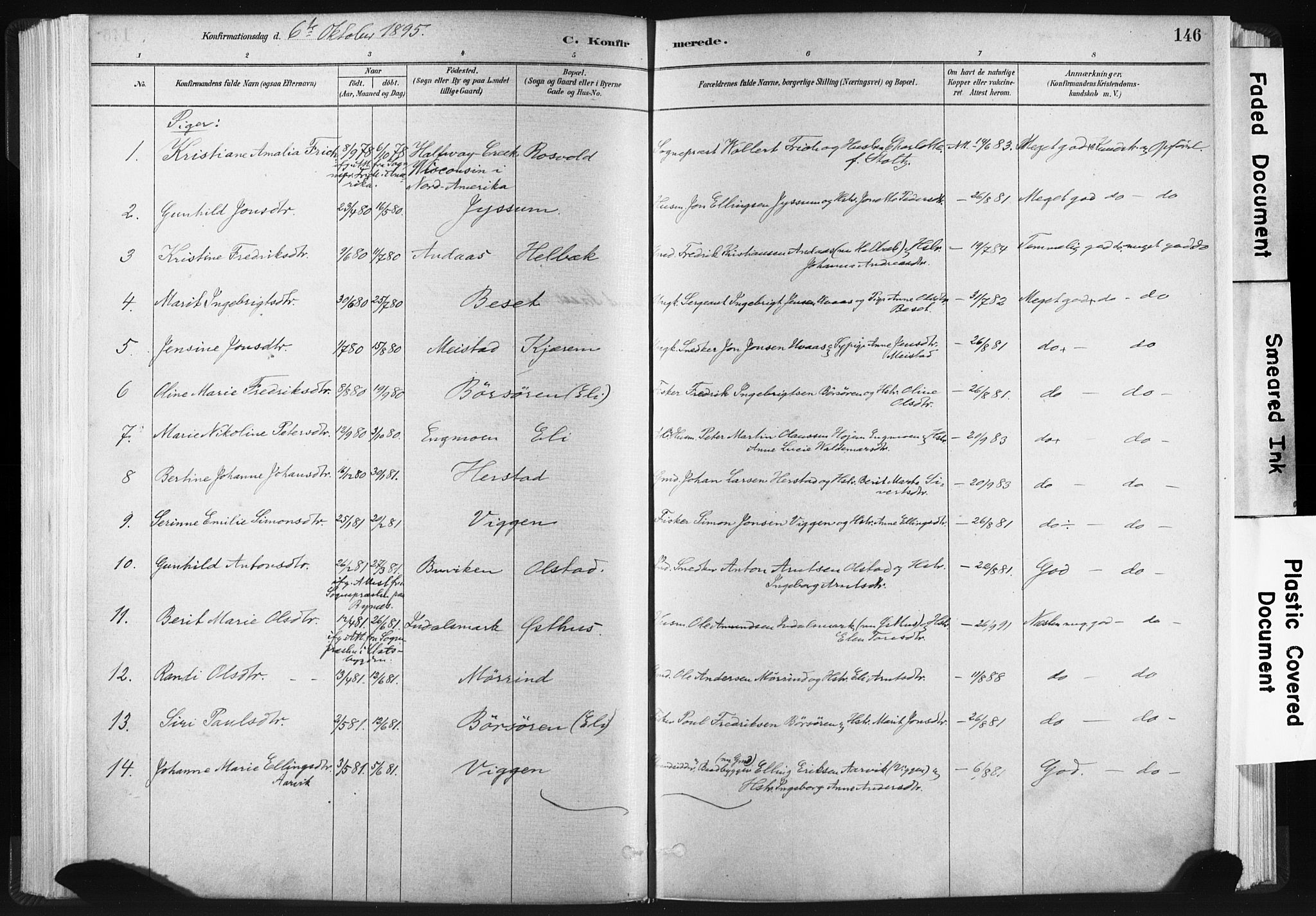 Ministerialprotokoller, klokkerbøker og fødselsregistre - Sør-Trøndelag, AV/SAT-A-1456/665/L0773: Parish register (official) no. 665A08, 1879-1905, p. 146