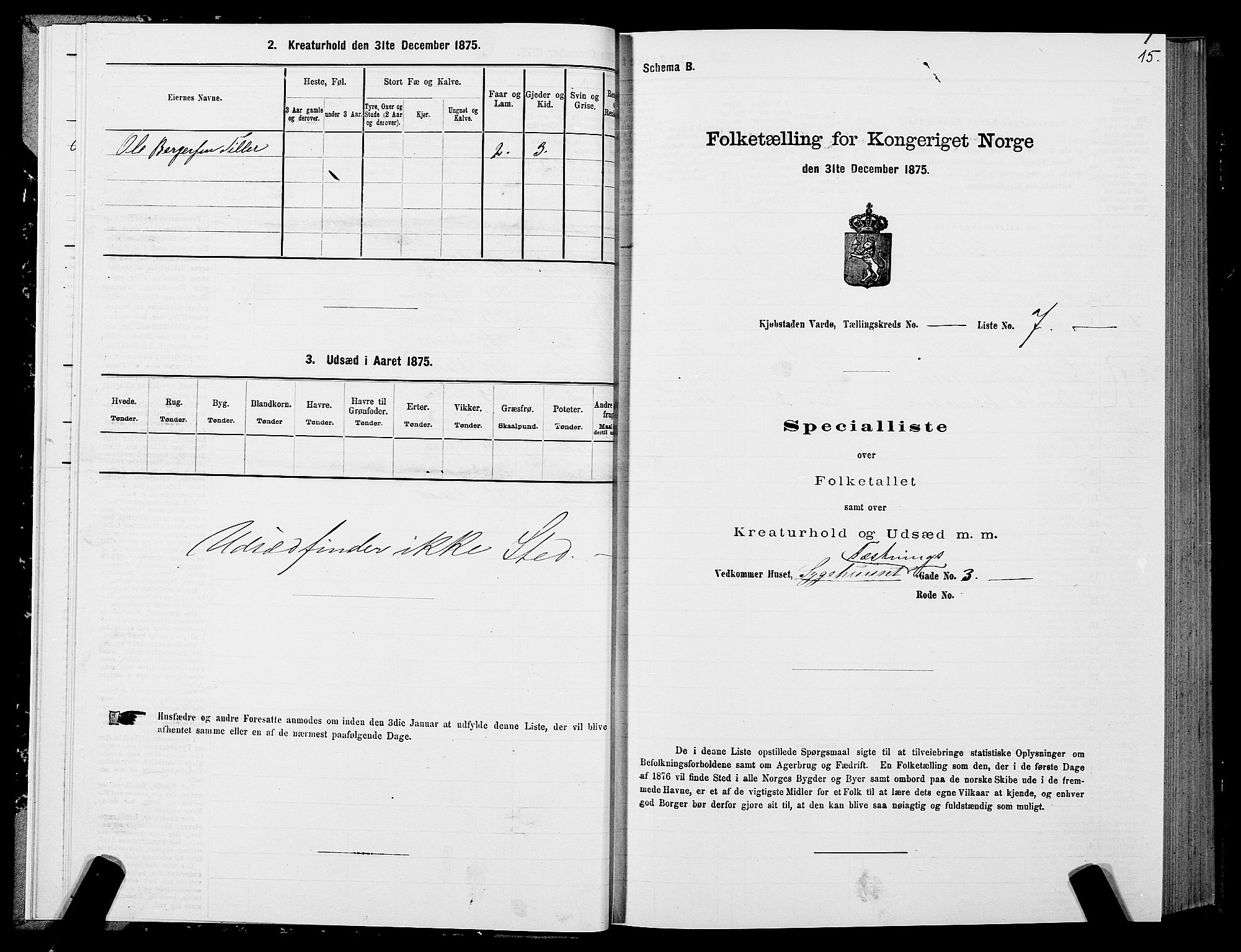SATØ, 1875 census for 2002B Vardø/Vardø, 1875, p. 1015