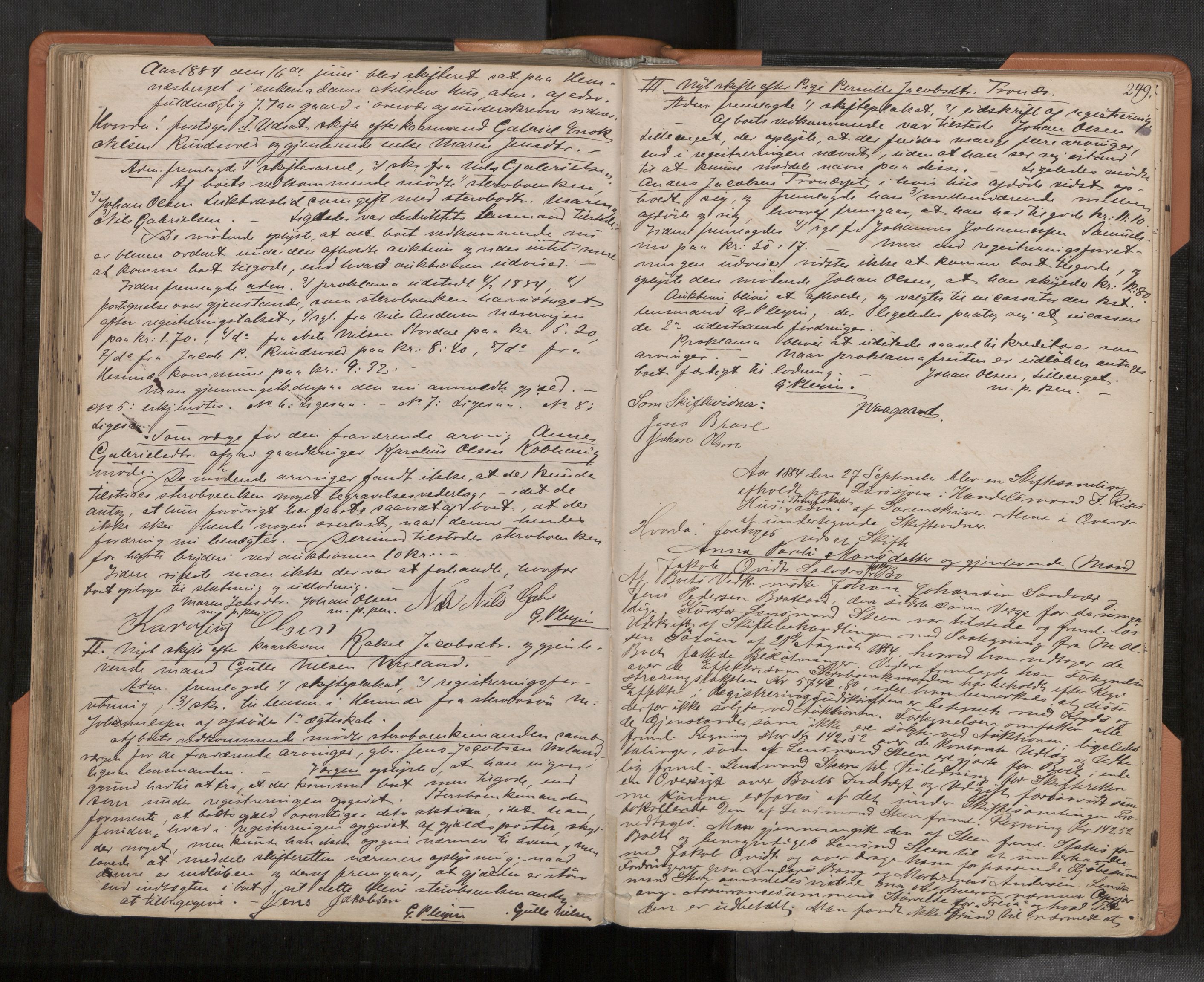 Rana sorenskriveri , AV/SAT-A-1108/1/3/3B/L0003: Skiftebehandlingsprotokoll, 1875-1893, p. 249