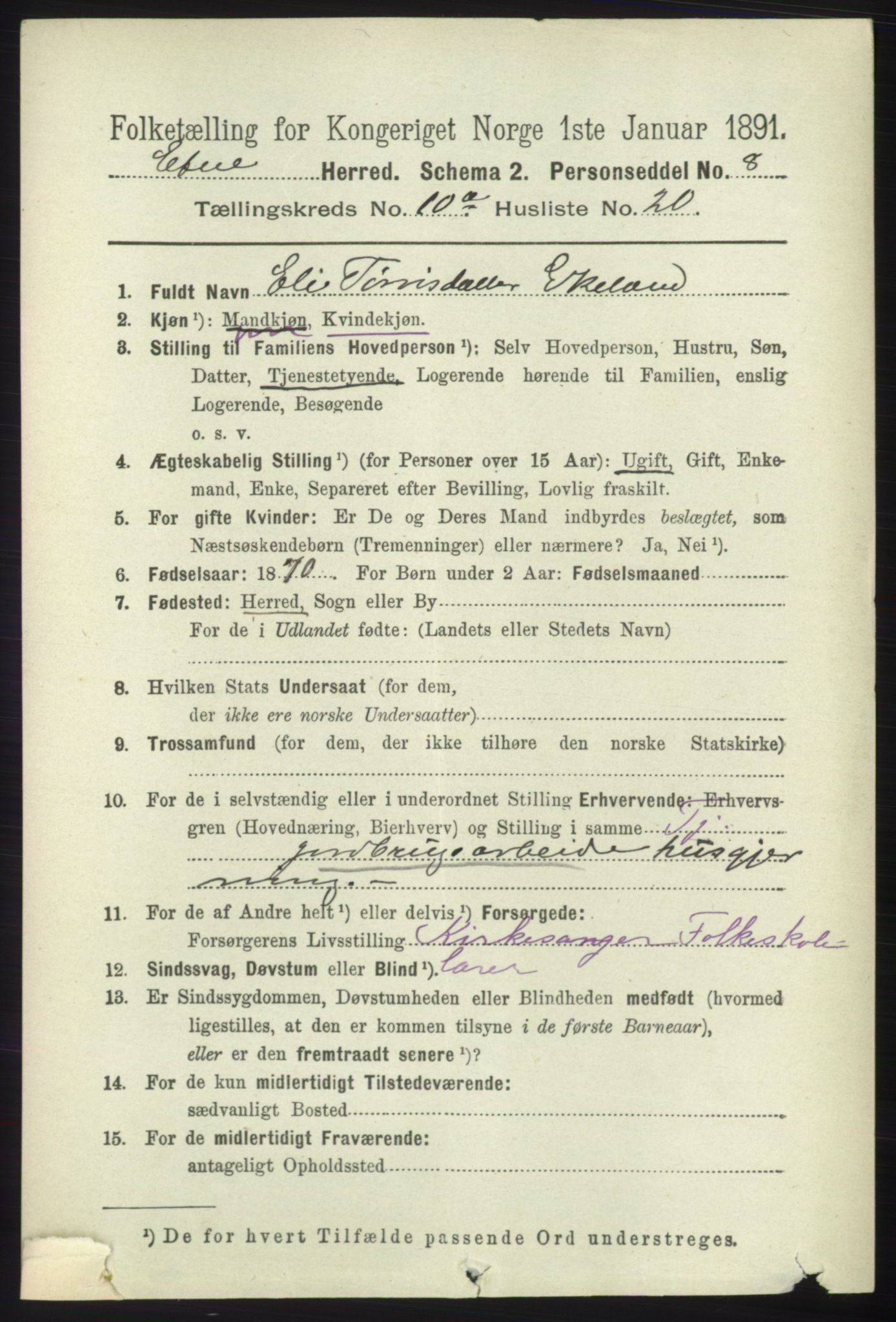 RA, 1891 census for 1211 Etne, 1891, p. 1951