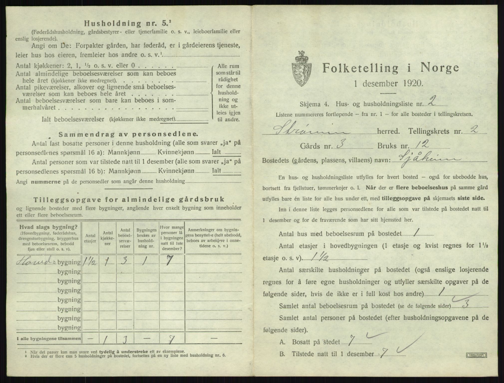 SAKO, 1920 census for Strømm, 1920, p. 141