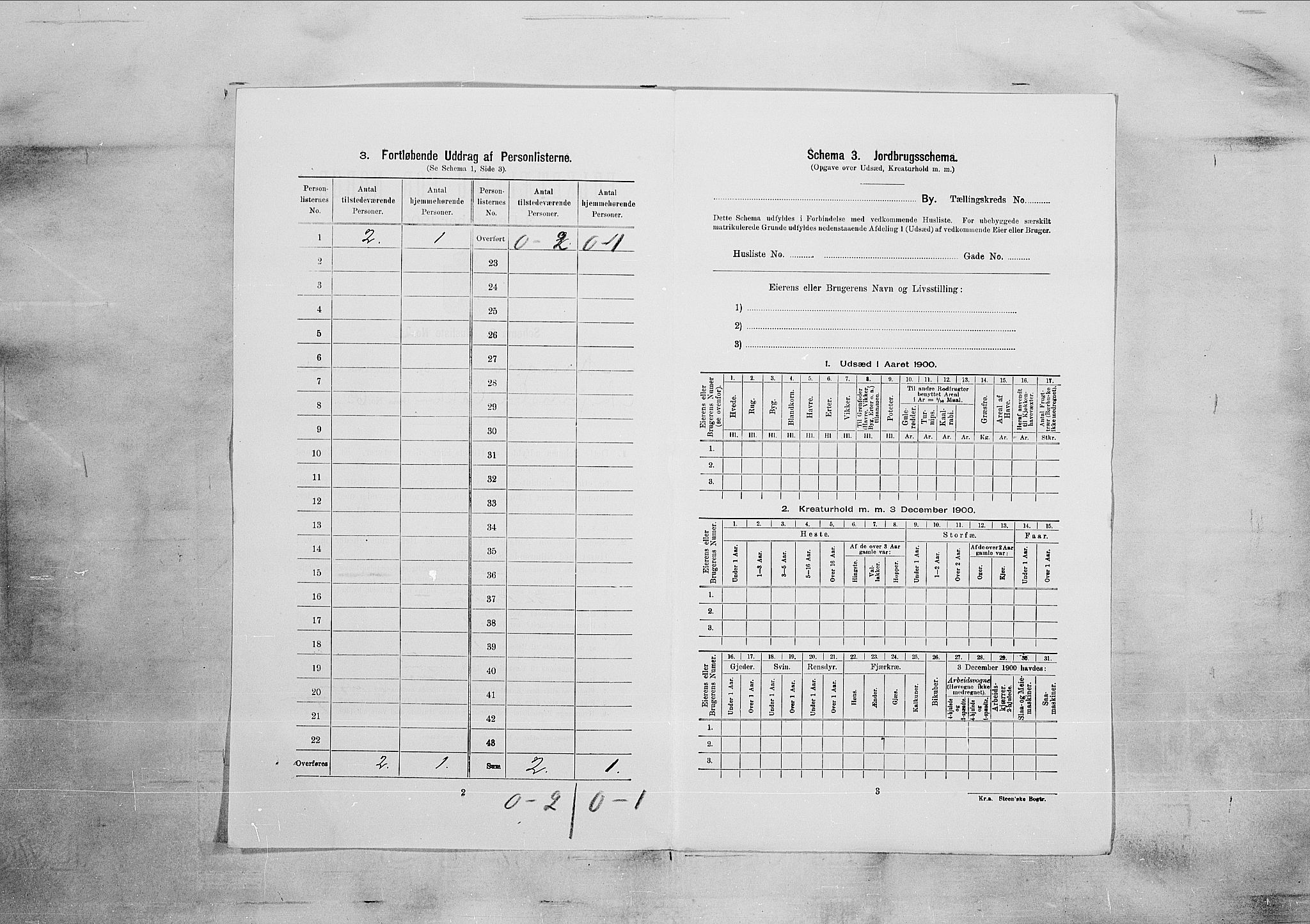 SAKO, 1900 census for Kragerø, 1900, p. 3236