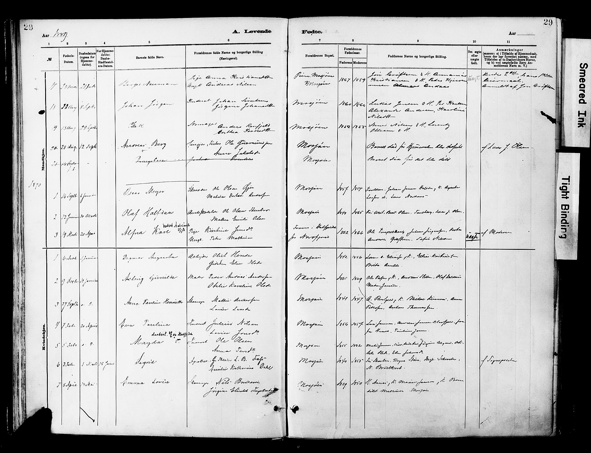 Ministerialprotokoller, klokkerbøker og fødselsregistre - Nordland, AV/SAT-A-1459/820/L0296: Parish register (official) no. 820A17, 1880-1903, p. 29
