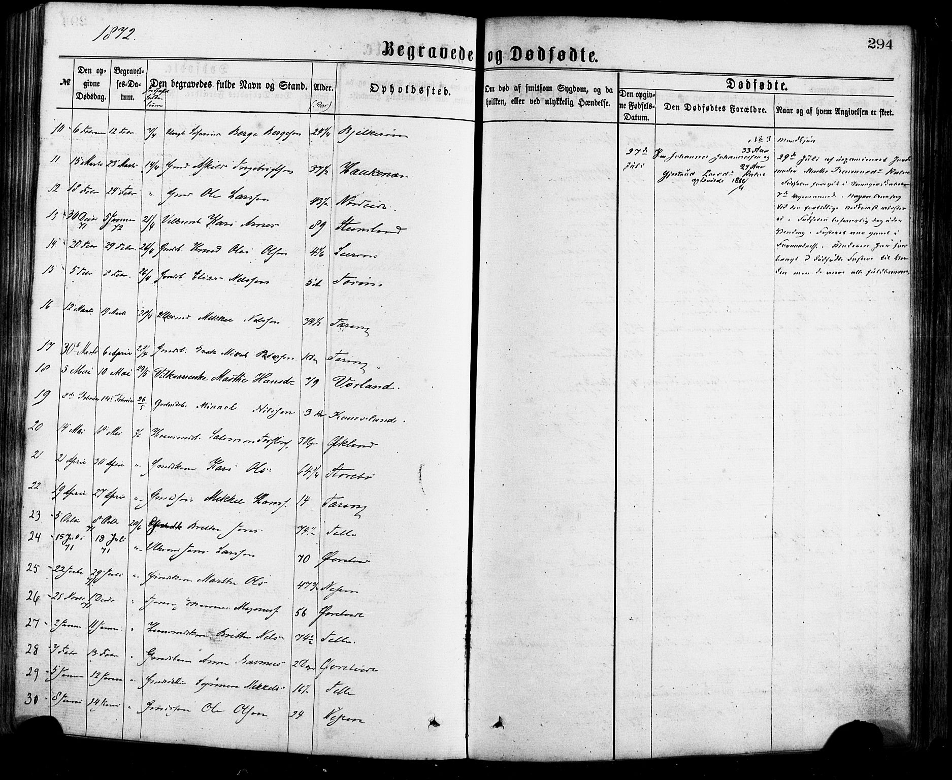 Sund sokneprestembete, AV/SAB-A-99930: Parish register (official) no. A 15, 1867-1881, p. 294