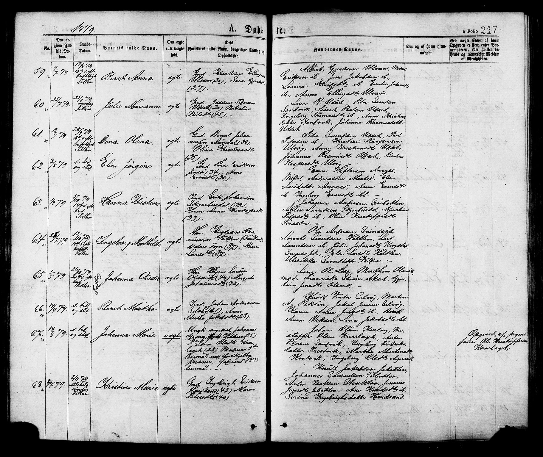 Ministerialprotokoller, klokkerbøker og fødselsregistre - Sør-Trøndelag, AV/SAT-A-1456/634/L0532: Parish register (official) no. 634A08, 1871-1881, p. 217